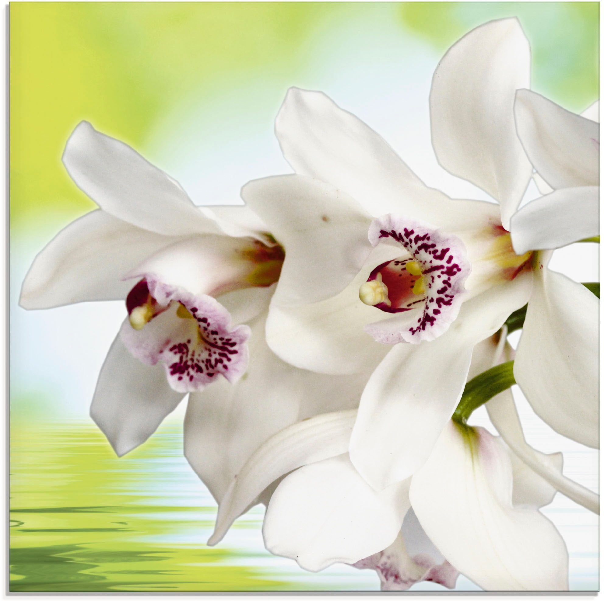 Artland Glasbild »Weiße Orchidee«, Blumen, Raten Größen kaufen verschiedenen St.), (1 in auf