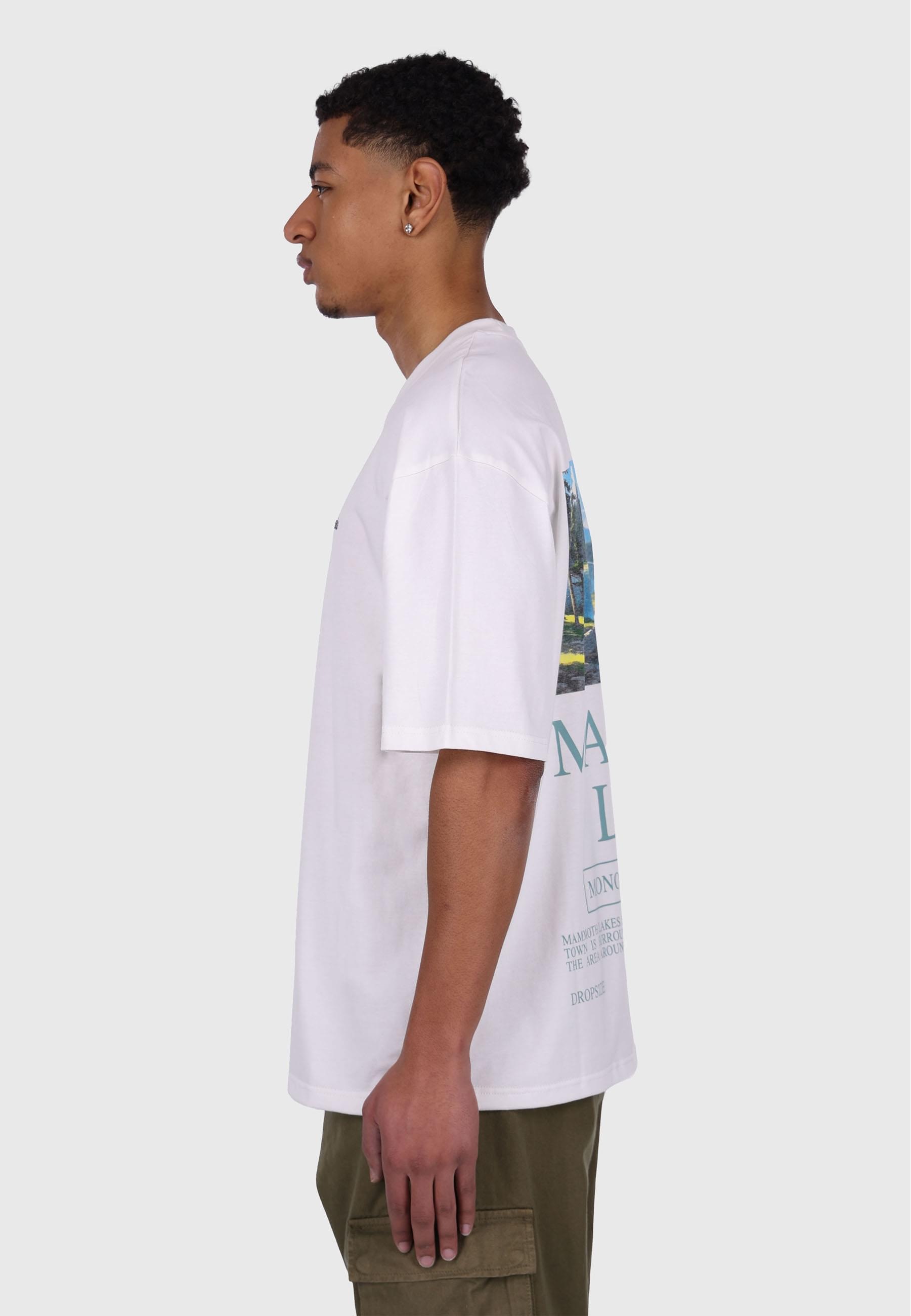 Dropsize T-Shirt »Dropsize HEAVY OVERSIZE LAKES T-SHIRT« 1 Stk.