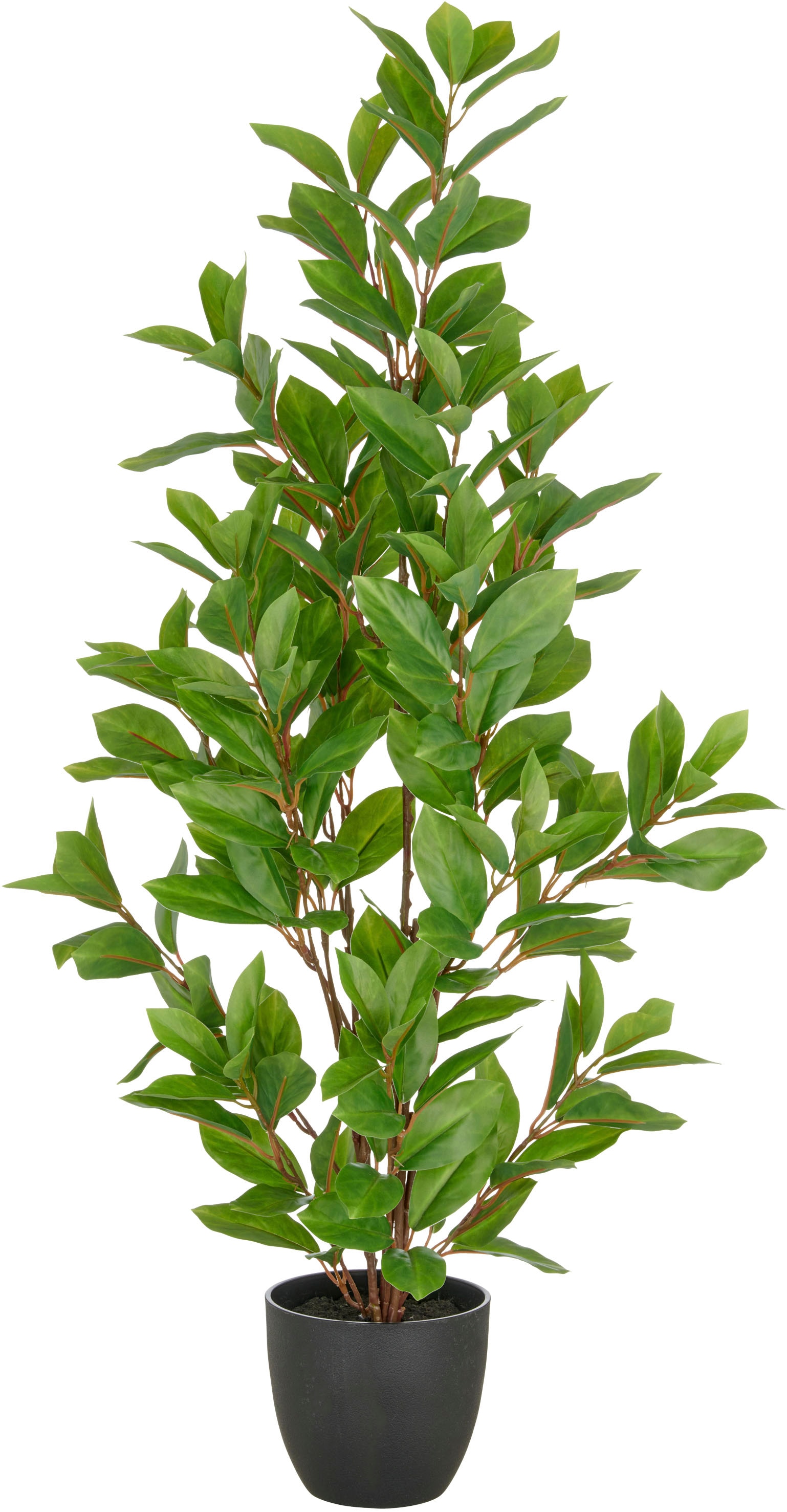 Creativ green Kunstpflanze »Epipremnum« mit schönem Blattwerk günstig online kaufen