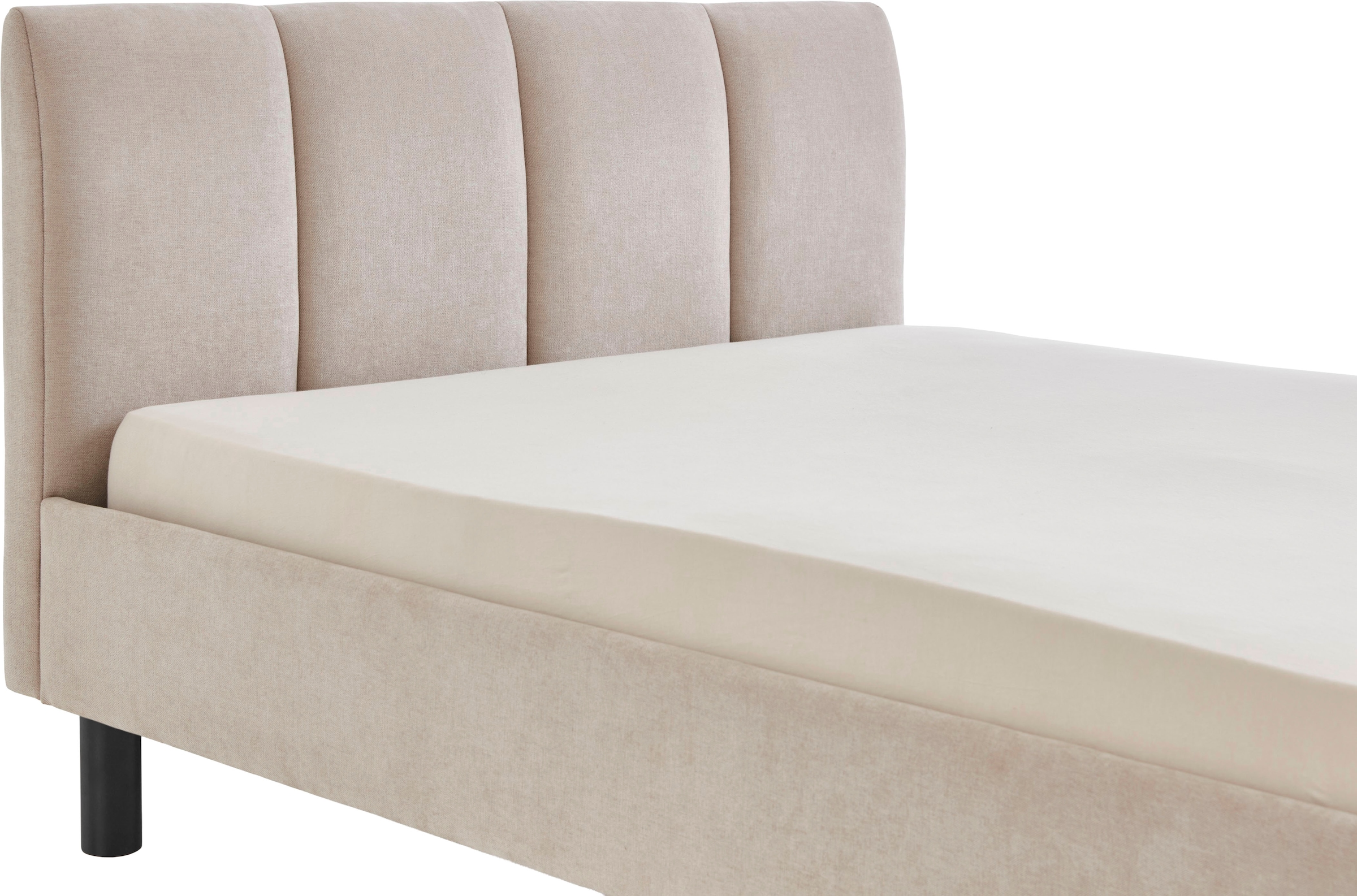 meise.möbel Polsterbett »Joker, in verschiedenen Breiten und Farben erhältlich« wahlweise mit schwarzem oder eichefarbigem Holzfuß