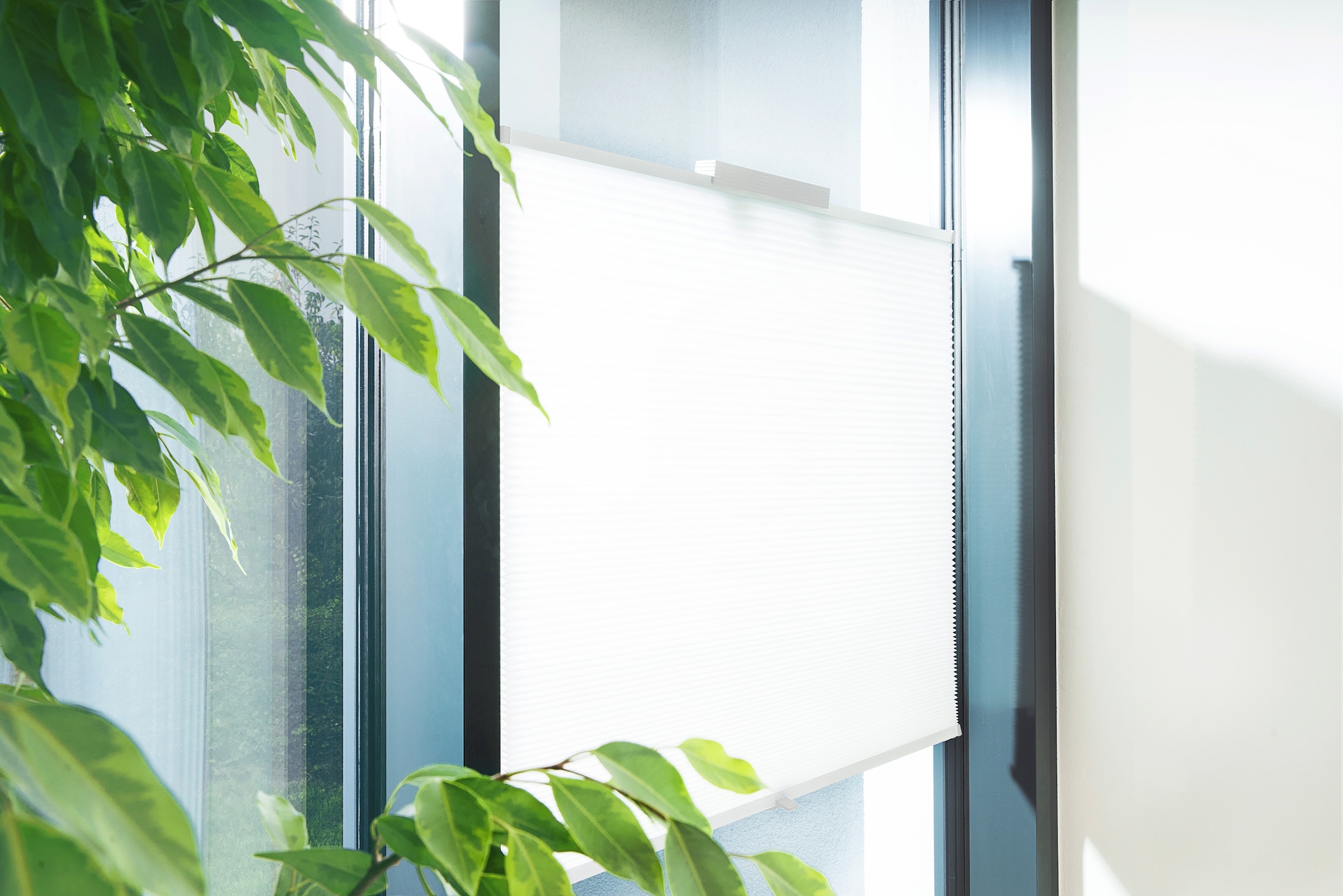 hecht international Insektenschutz-Fensterrahmen »FLEX«, BxH: 100x130 cm