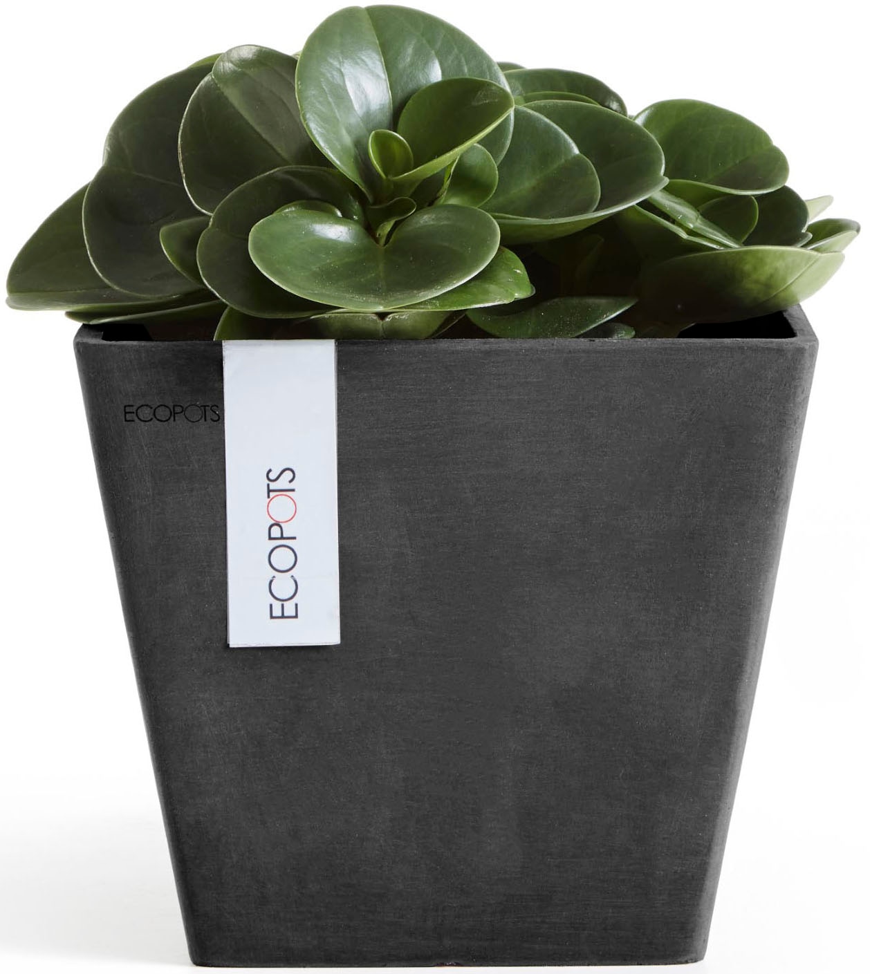 ECOPOTS Blumentopf »ROTTERDAM Dark Grey« BxTxH: 20x20x17,5 cm