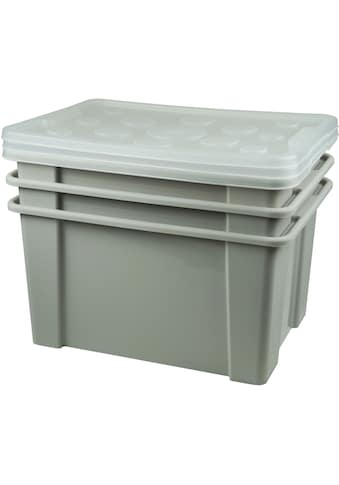 Gies Aufbewahrungsbox »Unibox«, (Set, 3 St.), nestbar, stapelbar, 15 Liter kaufen