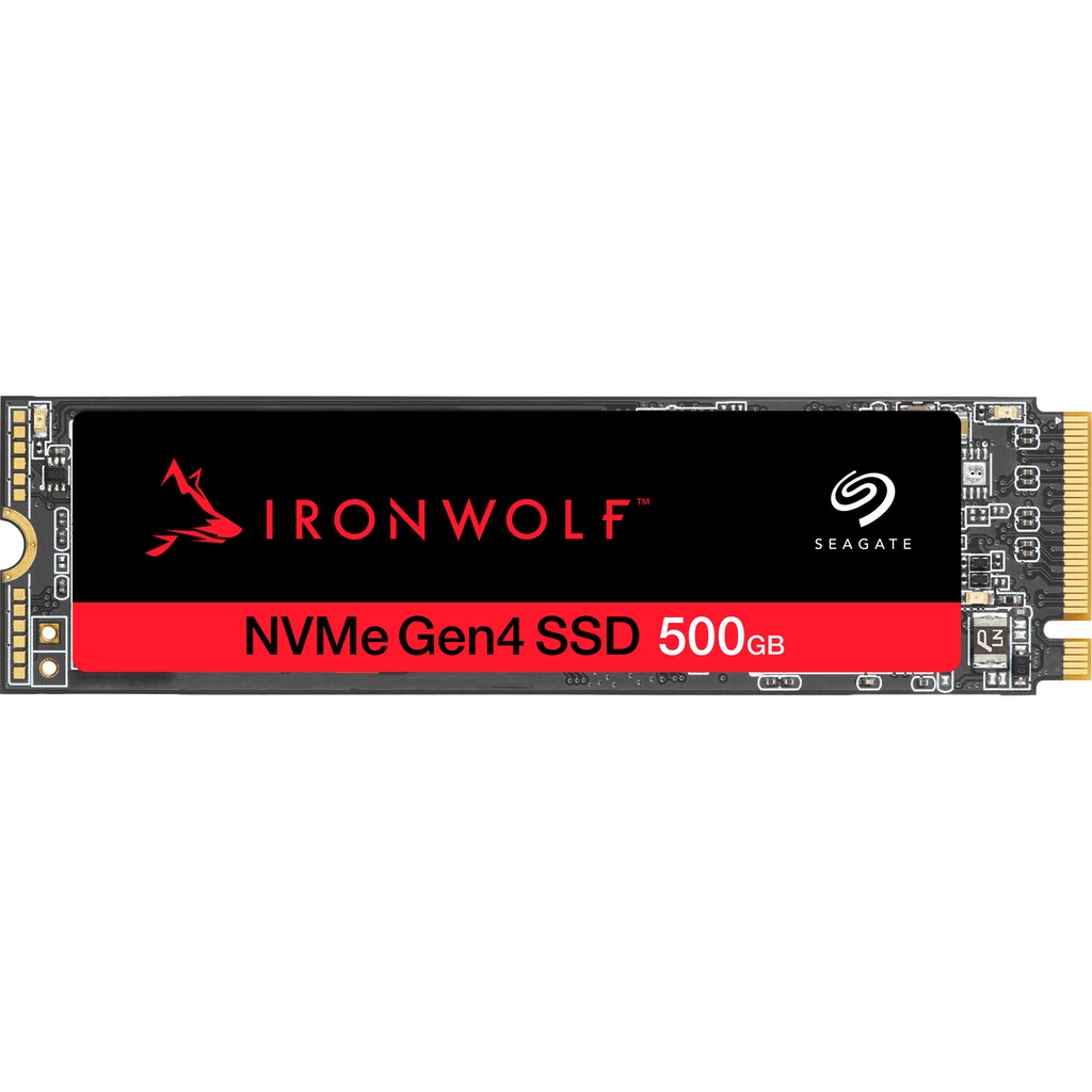 Seagate interne SSD »IronWolf®525«