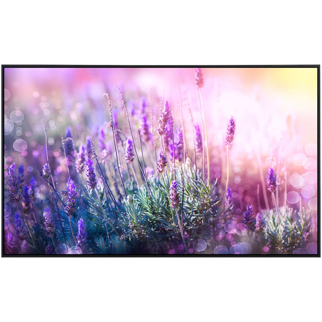 Papermoon Infrarotheizung »Lavendelfeld«