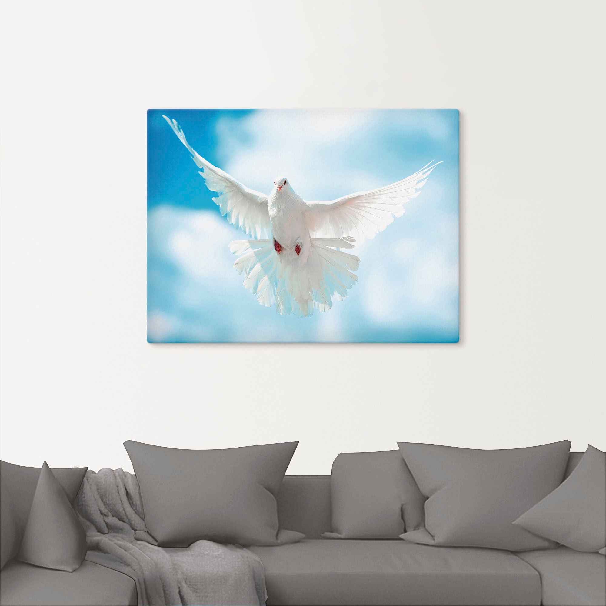 Artland Wandbild »Taube mit ausgebreiteten Flügeln«, Vögel, (1 St.), als Alubild, Outdoorbild, Leinwandbild, Poster in verschied. Größen