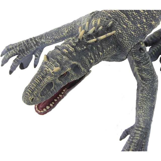 Jamara RC-Tier »Dinosaurier Exoraptor, Li-Ion 3,7V, 2,4GHz, grau«, mit  Licht und Sound im Online-Shop bestellen