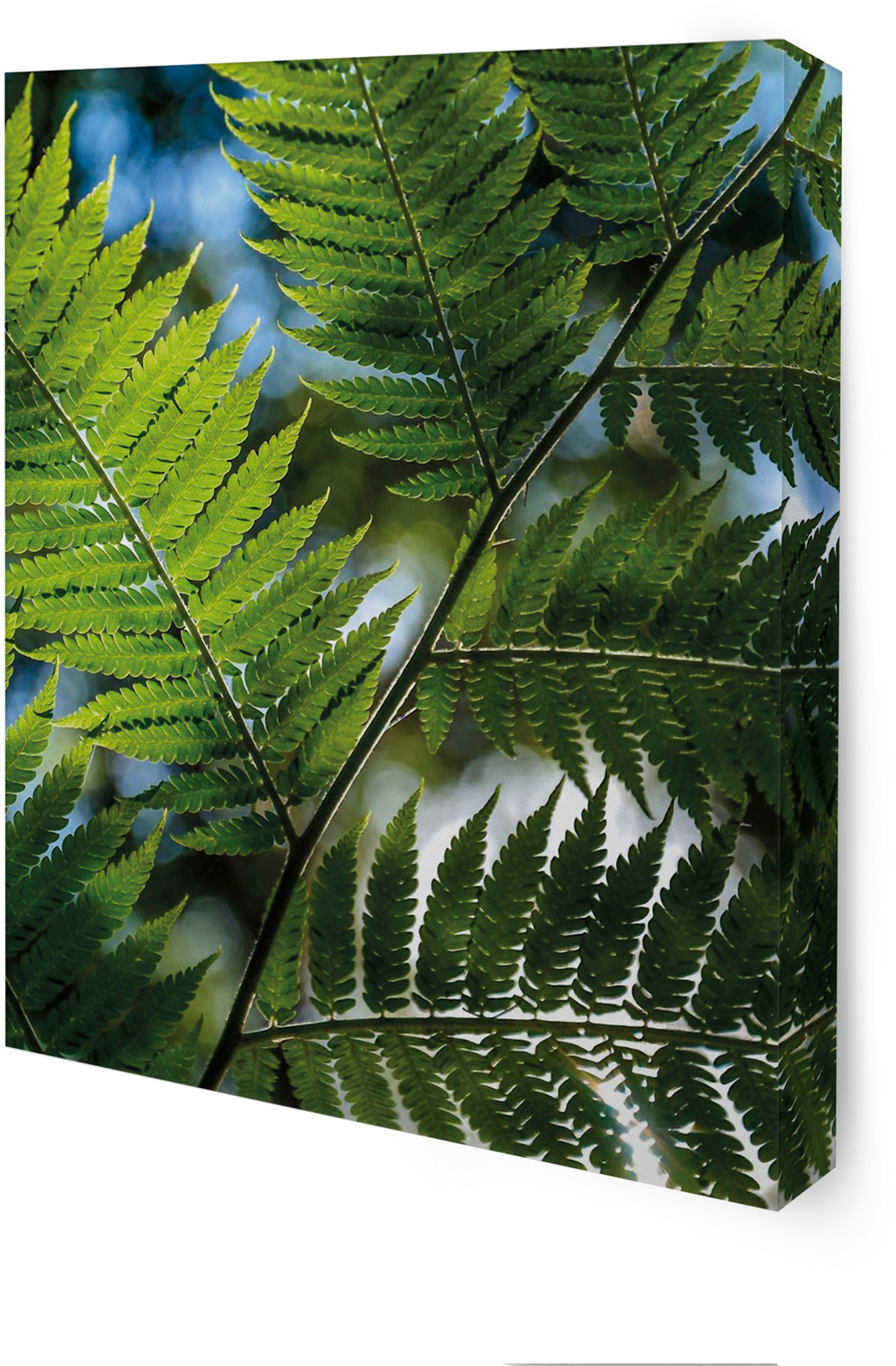 Art for the home Leinwandbild »Pure Natur«, Landschaft, (Set)