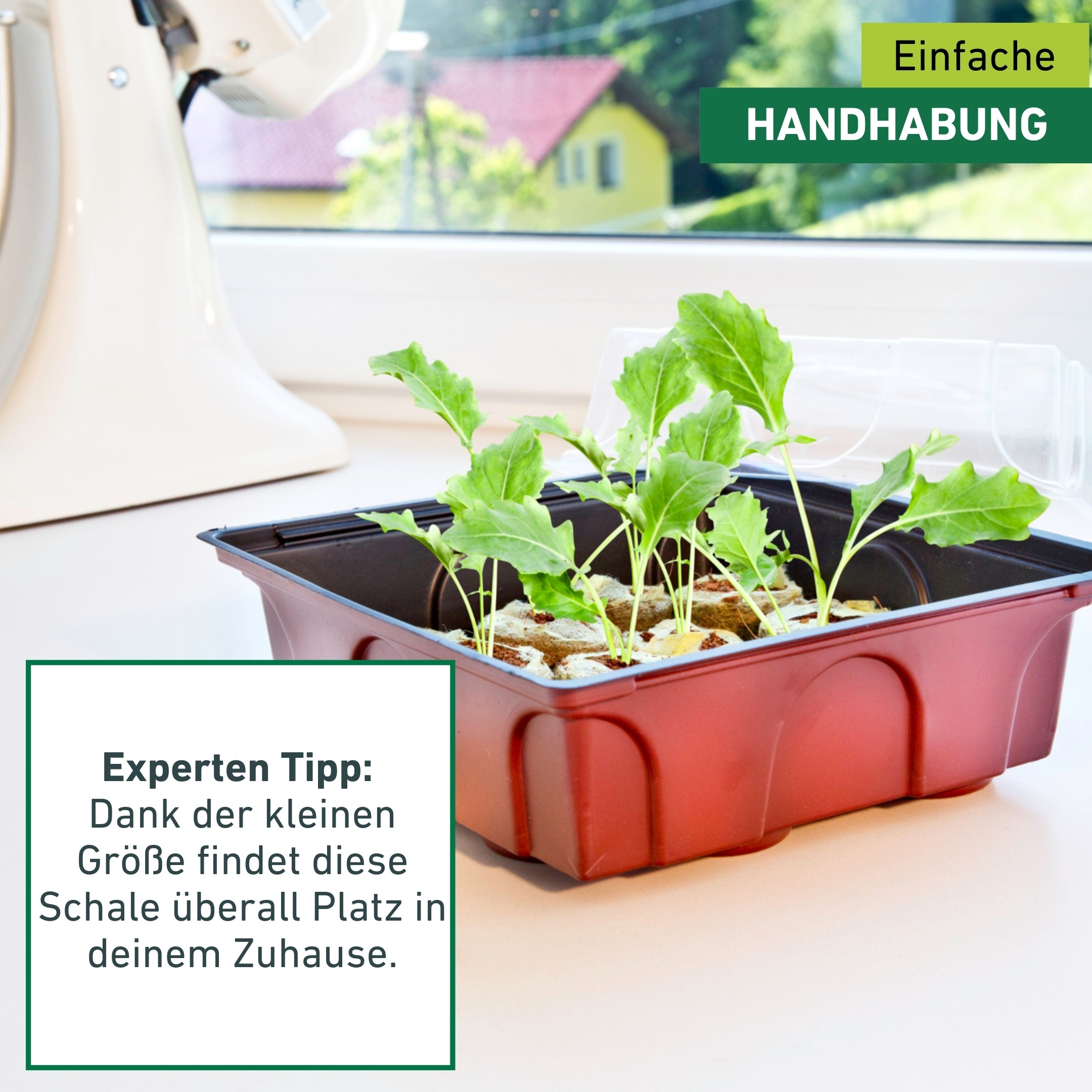 Windhager Gewächshaus »für Fensterbänke, Zimmer-Gewächshaus Indoor« Anzucht Fensterbank-Treibhaus inkl. 12 Quelltabs, 19,5x19x11 cm