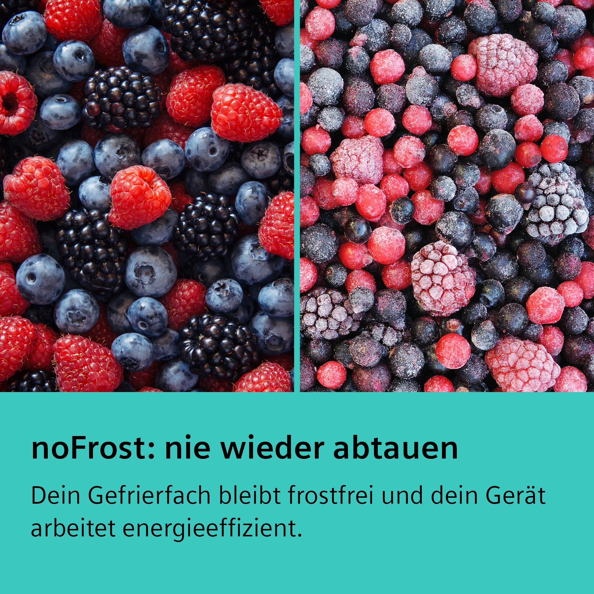 SIEMENS Kühl-/Gefrierkombination »KG39NAICT« günstig online kaufen