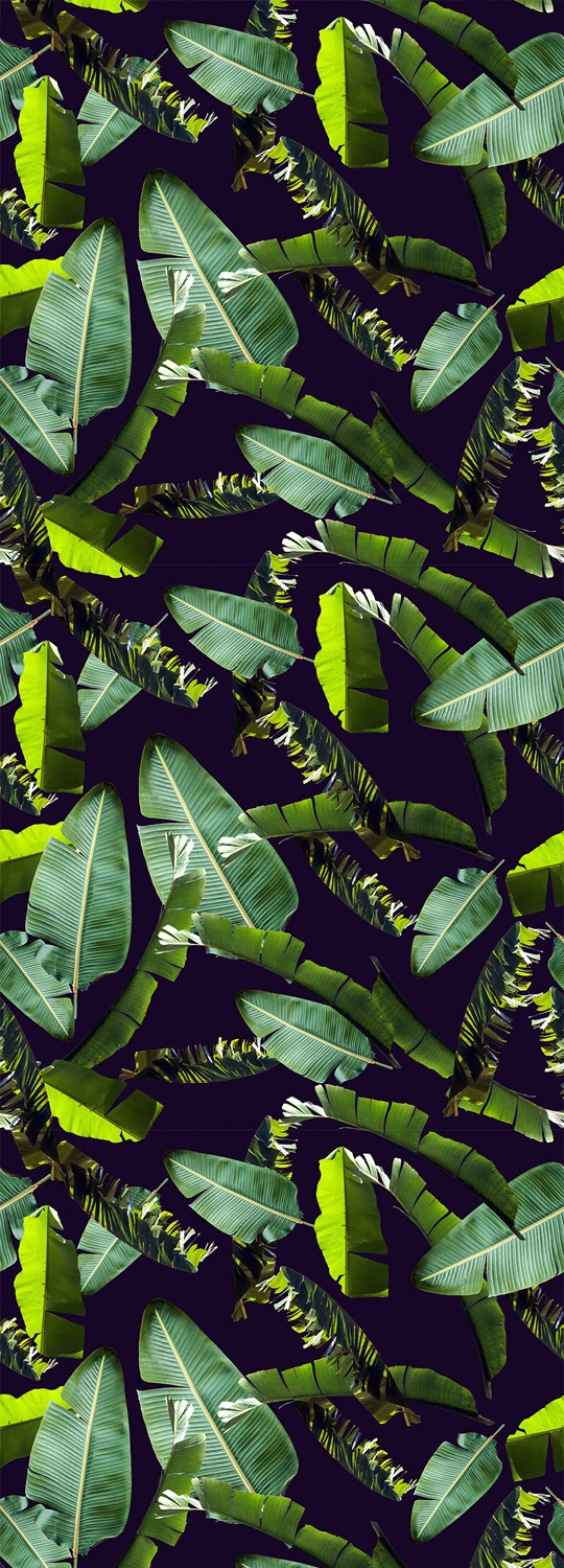 queence Vinyltapete »Tropische Blätter-Grün« Motiv   bedruckt   botanisch günstig online kaufen