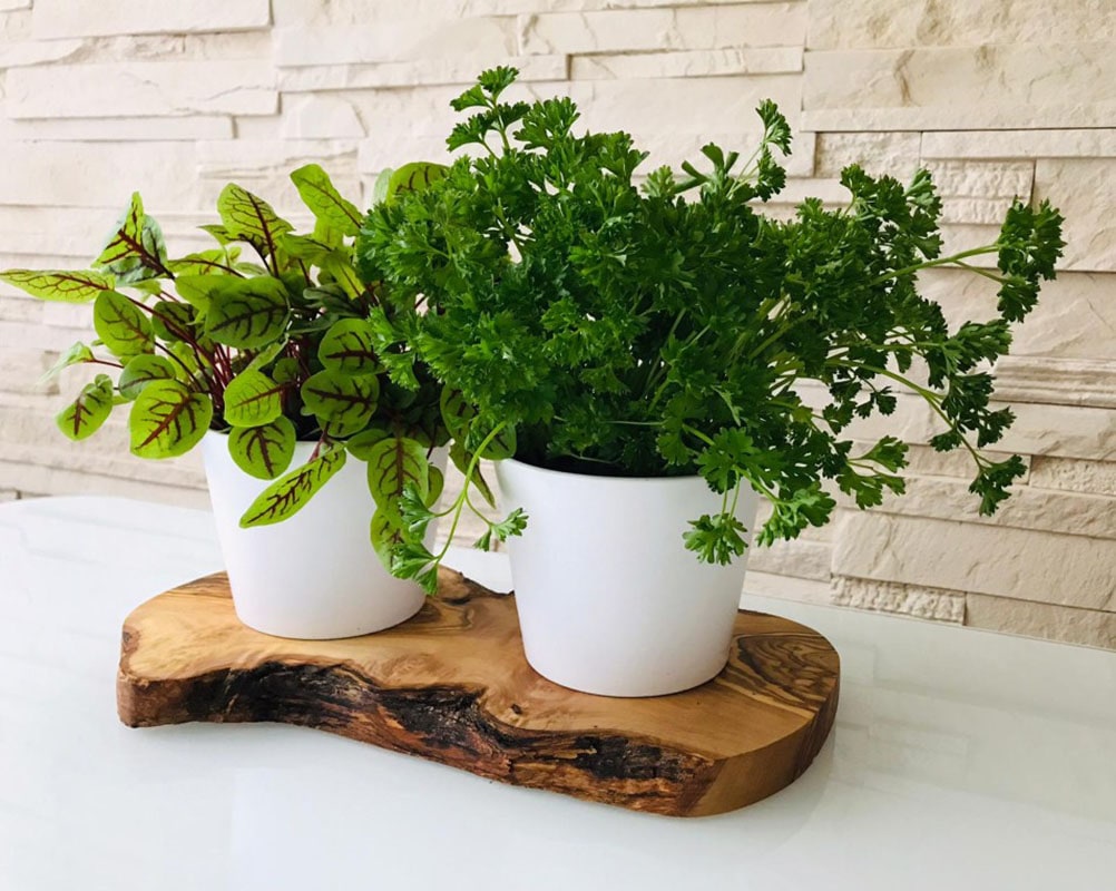 Olivenholz-erleben Kräuterbeet »2er Kräuterstation auf Olivenholz-Sockel«, (Set, 3 St., 1x Olivenholzbrett, 2x Keramikübertöpfe, plus Überraschung), elegante Keramikübertöpfe, perfekt für direktes Einsetzen von Kräutern