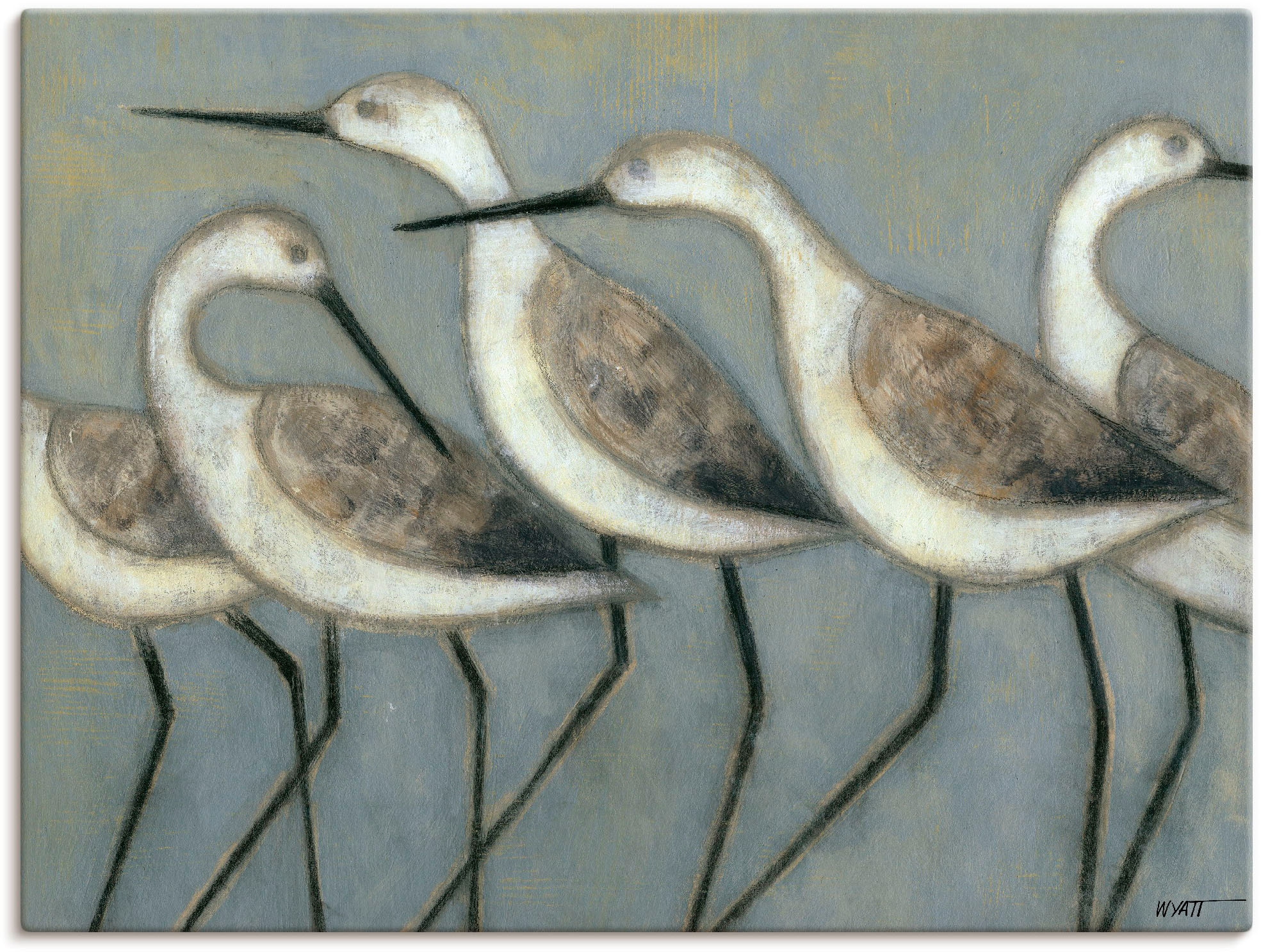 Artland Wandbild »Küstenvögel I« Vögel 1 Stk. tlg. als Alubild, Outdoorbild günstig online kaufen