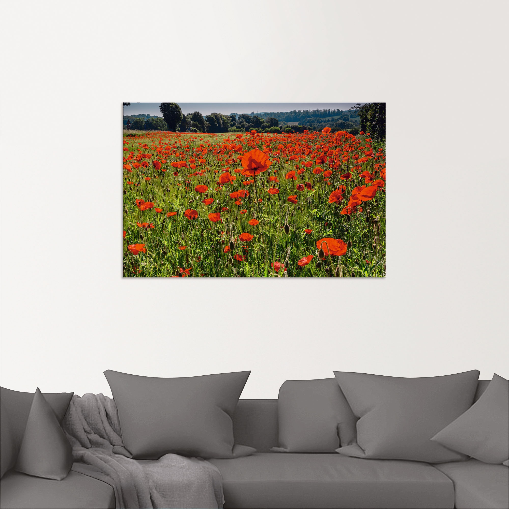 Artland Alu-Dibond-Druck »Mohnblumenwiese II«, Blumenwiese, (1 St.), für Innen- und Außenbereich geeignet, Outdoorbild