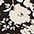 black flower