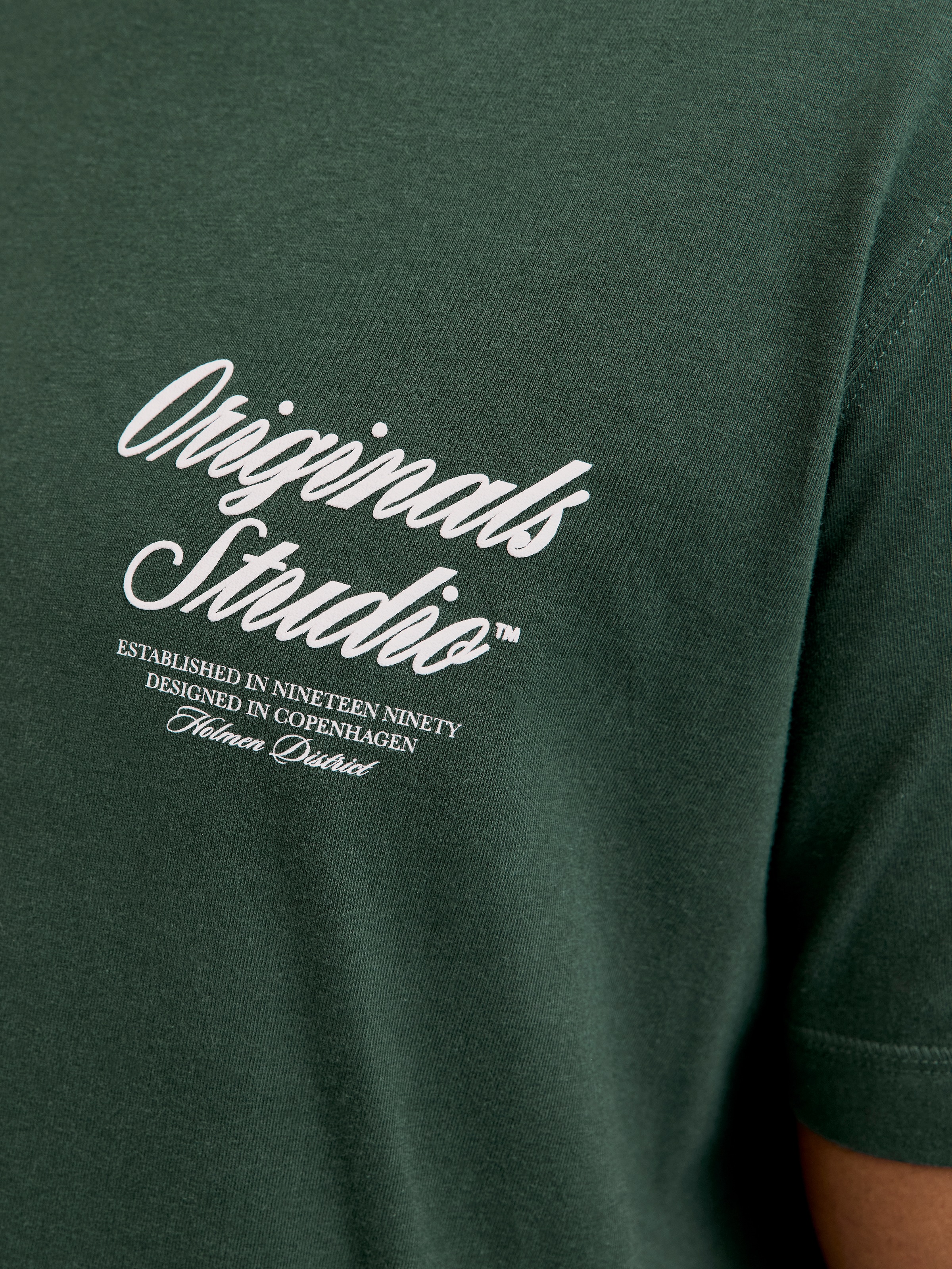 Jack & Jones PlusSize Kurzarmshirt »JORNORREBRO TYPO TEE SS CREW NECK  PLS« Baumwolle, regular fit