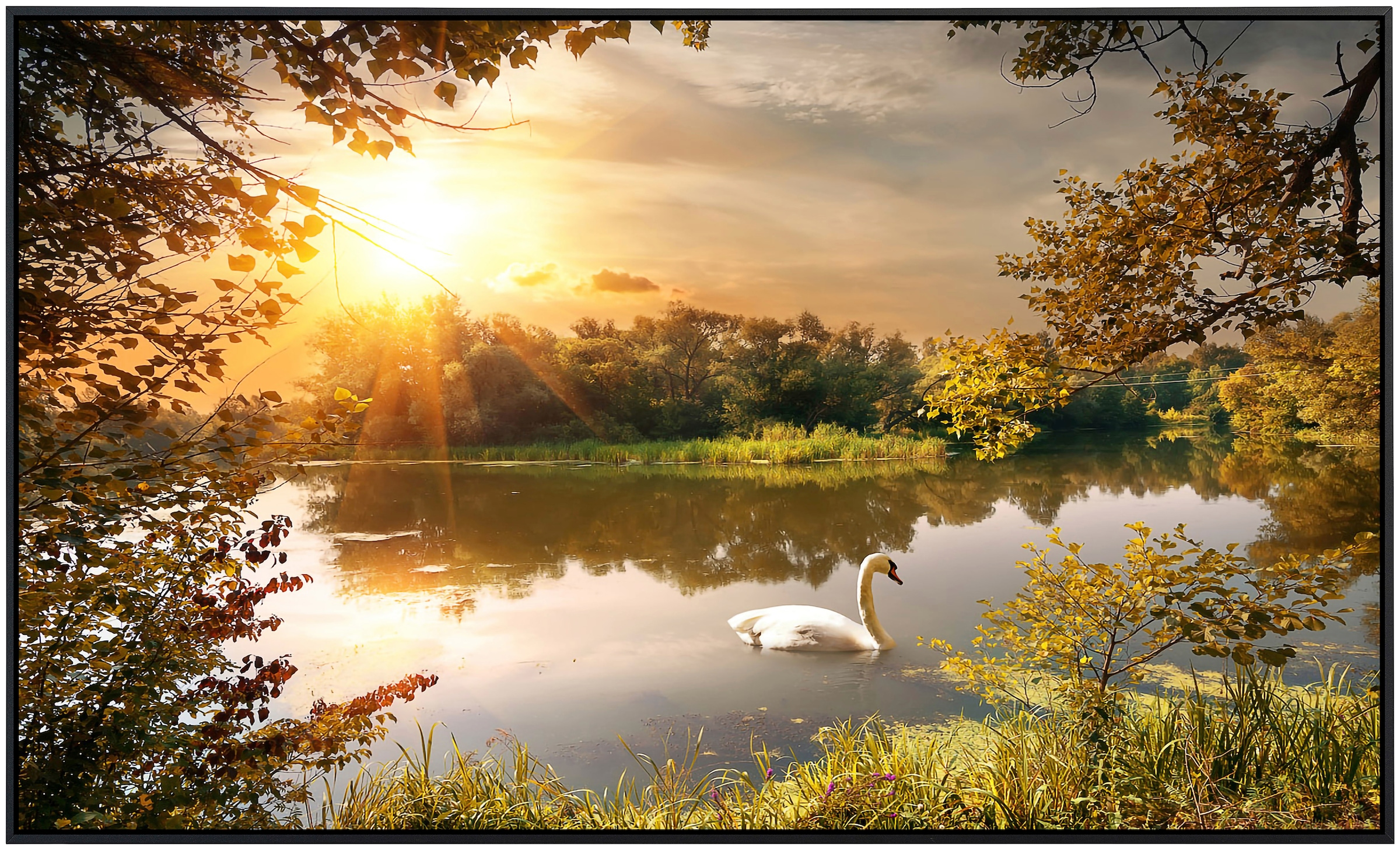 Papermoon Infrarotheizung »Schwan am Teich«, sehr angenehme Strahlungswärme günstig online kaufen