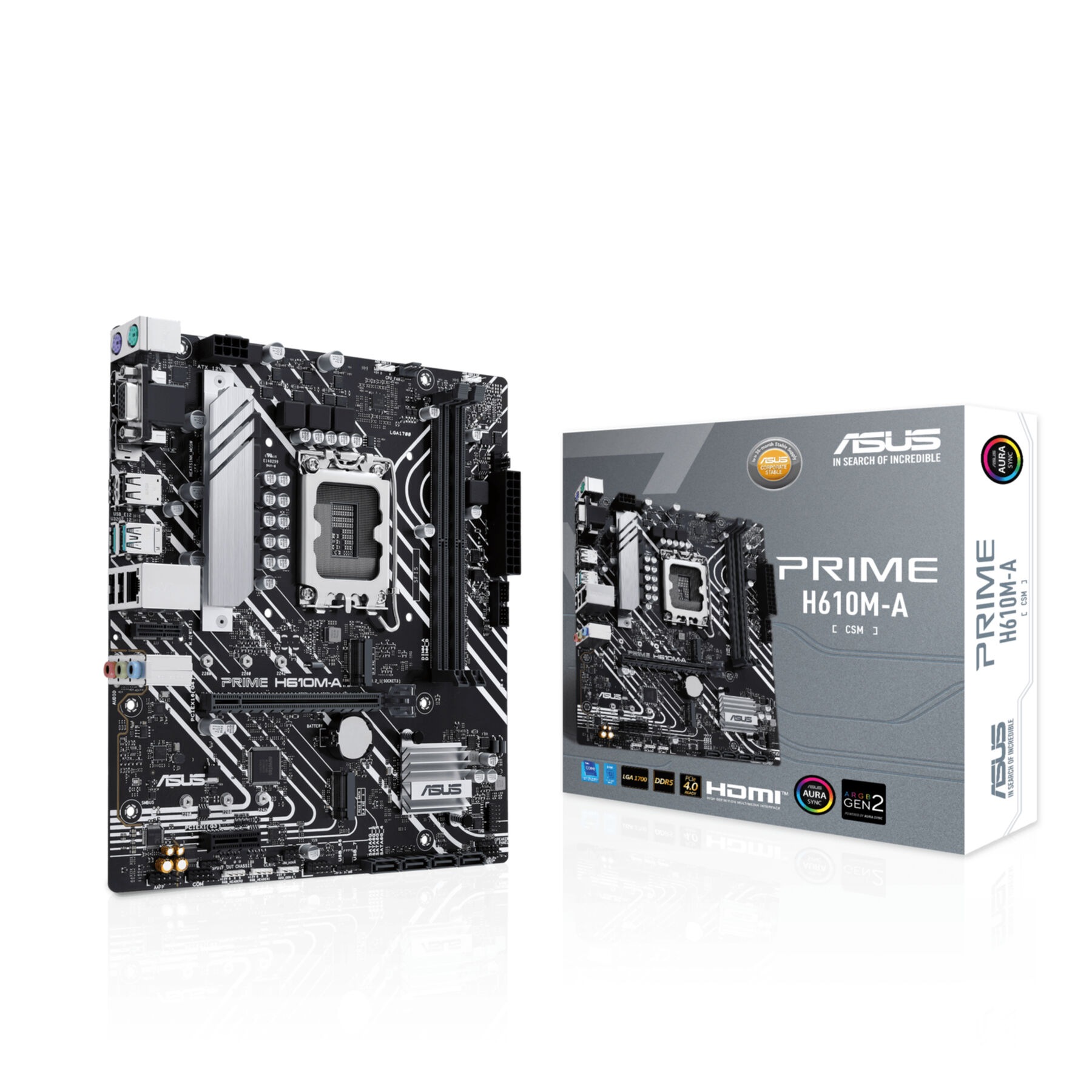 Asus Mainboard »PRIME H610M-A-CSM«