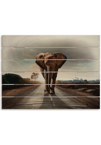 Artland Holzbild »Ein Elefant läuft auf der Straße«, Elefanten Bilder, (1 St.) kaufen
