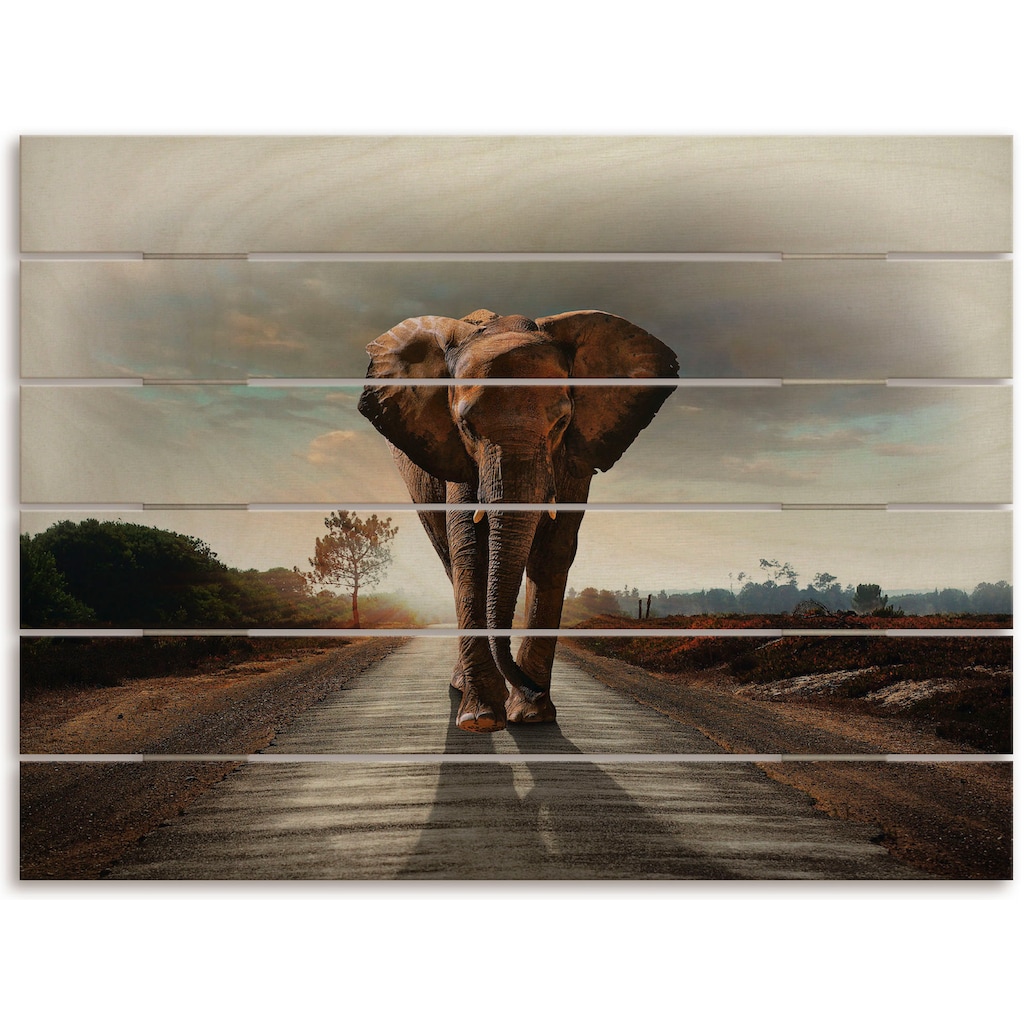 Artland Holzbild »Ein Elefant läuft auf der Straße«, Elefanten Bilder, (1 St.)