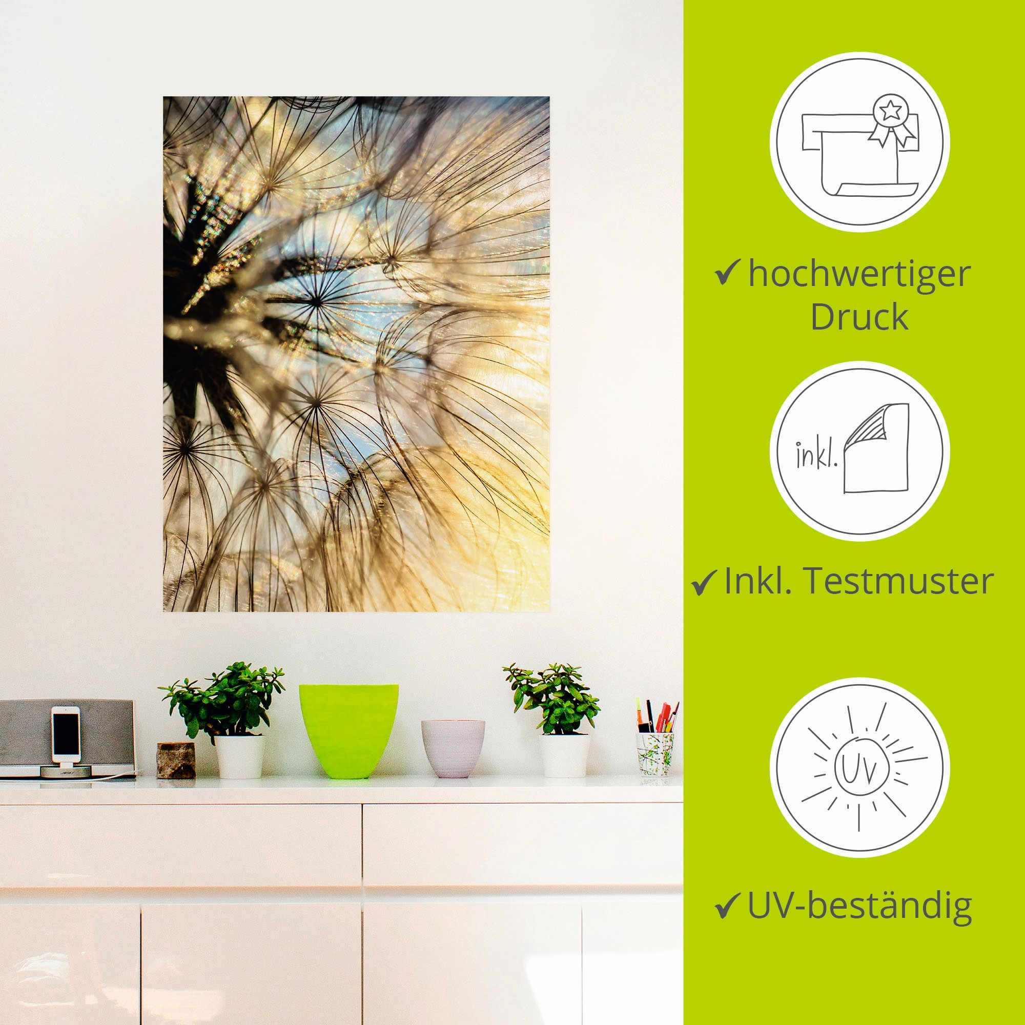Artland Wandbild »Pusteblume Poesie«, Blumen, (1 St.), als Leinwandbild, Poster, Wandaufkleber in verschied. Größen