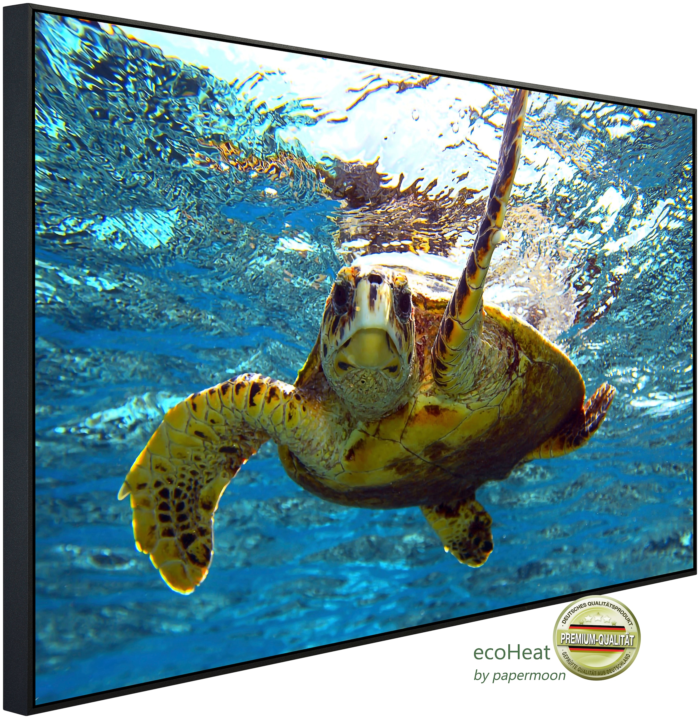 Papermoon Infrarotheizung »Schildkröte im Wasser«, sehr angenehme Strahlung günstig online kaufen