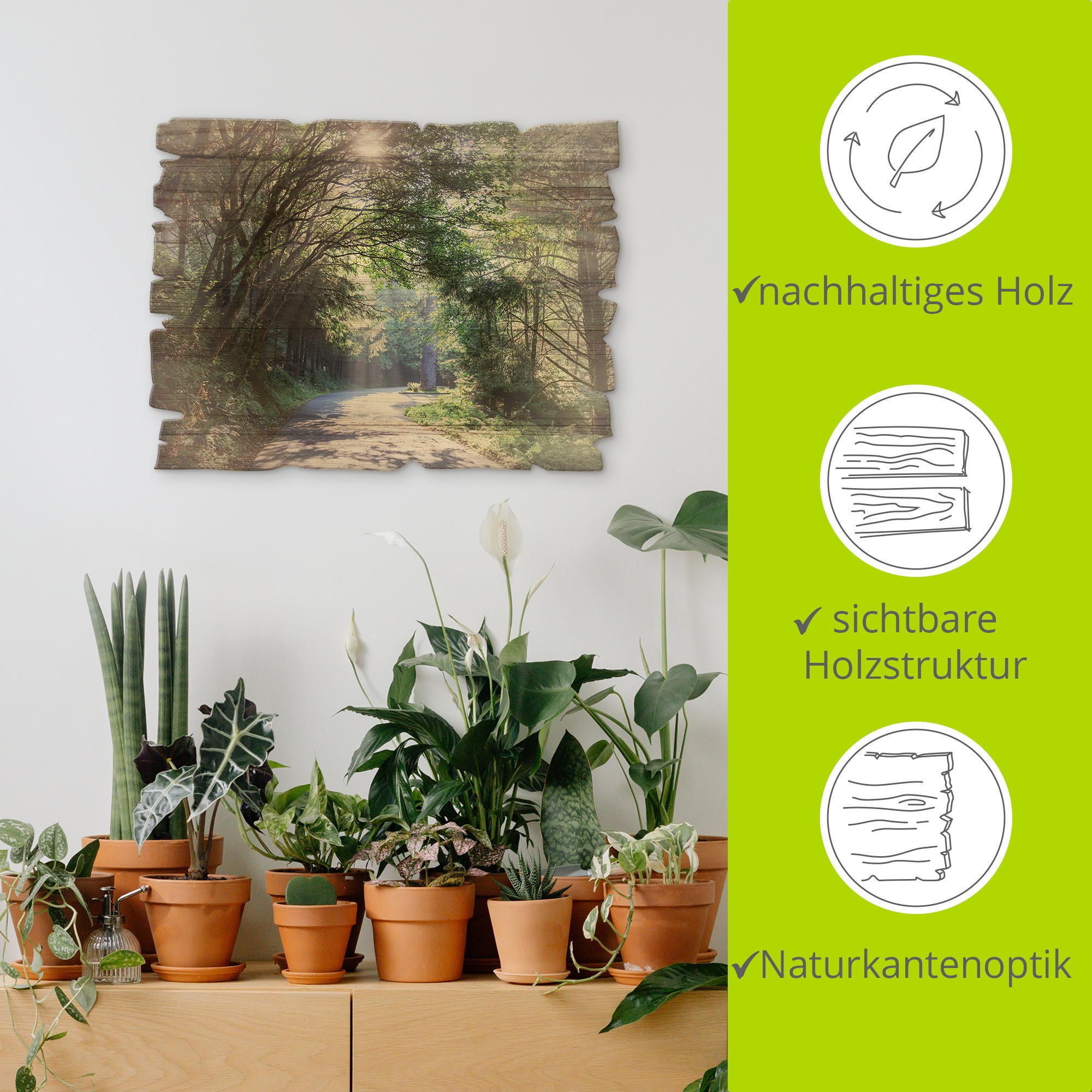 Artland Holzbild »Sonniger Wald«, Landschaftsbilder, (1 St.)