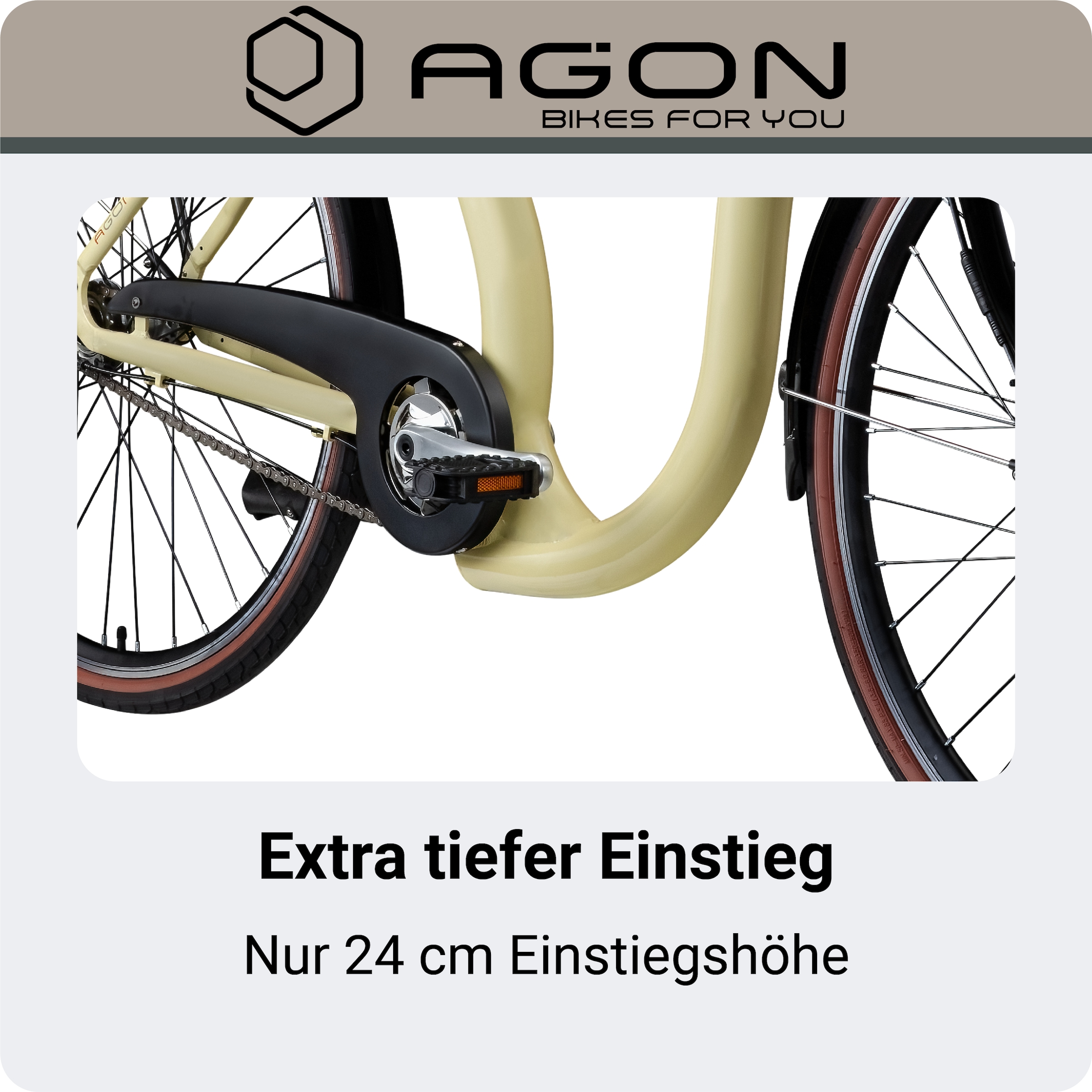 AGON »Assist« 3 Gang Nabenschaltung Frontmotor 250 W tiefer Einstieg
