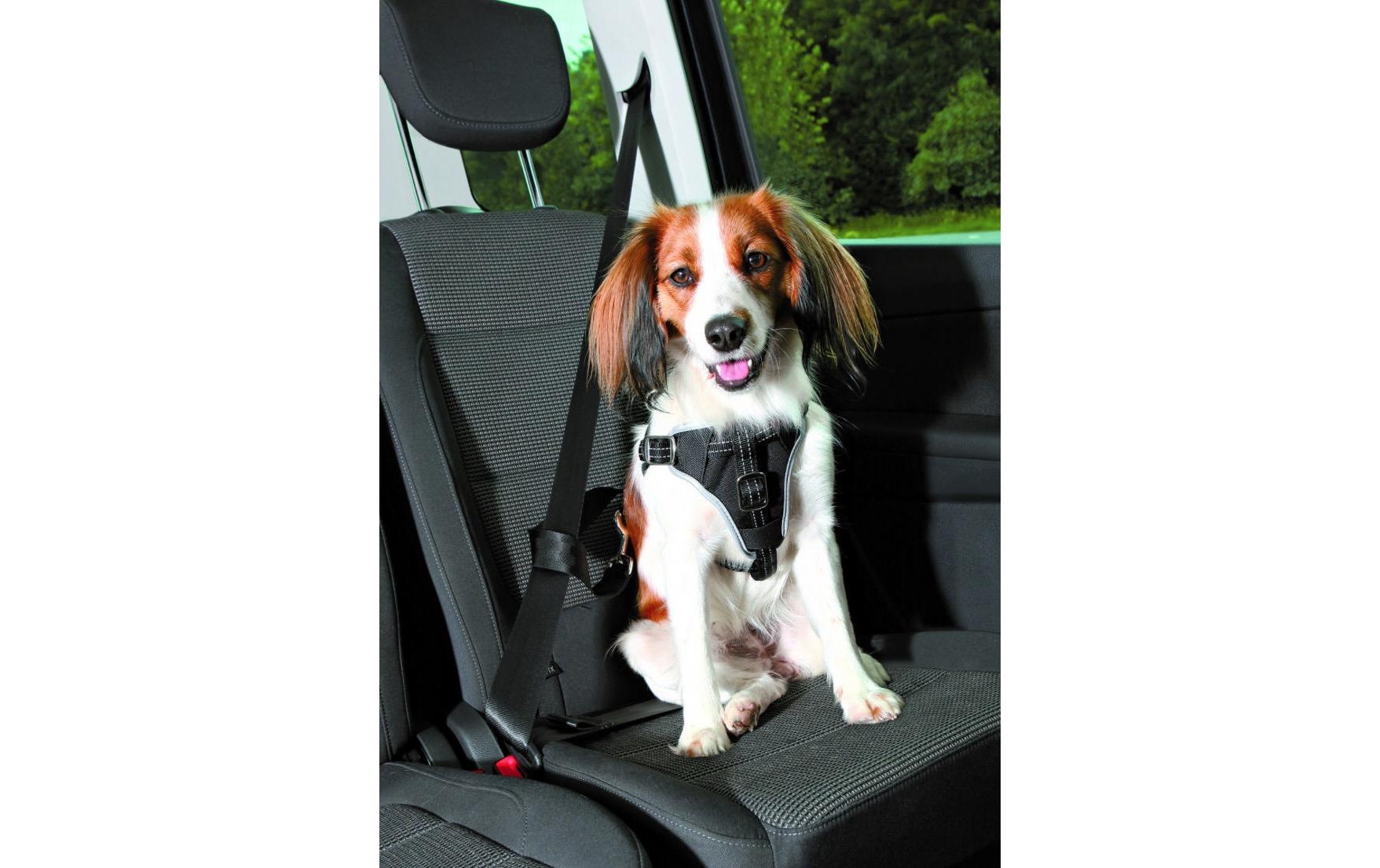 TRIXIE Hunde-Geschirr »Auto-Geschirr Dog Protect« Nylon