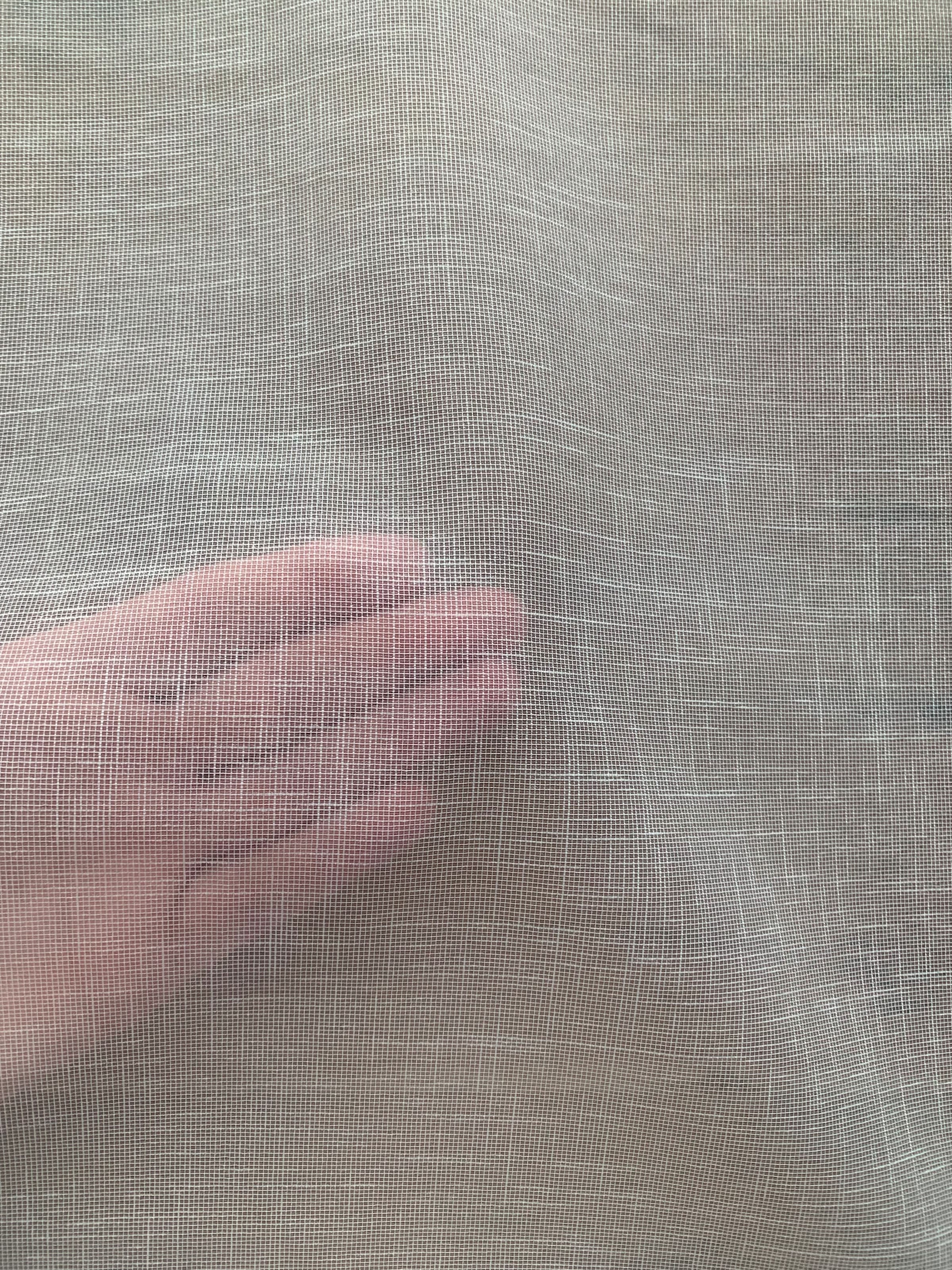 HOME WOHNIDEEN Schiebegardine »AUERBACH UNI«, (1 St.), HxB: 245x60, Schiebevorhang Effektvoile Uni