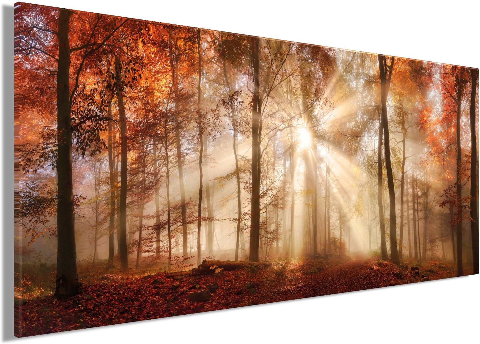 Bönninghoff Bild »HERBSTWALD XXL 90x200 cm – Leinwandbild Keilrahmen Deko modern«