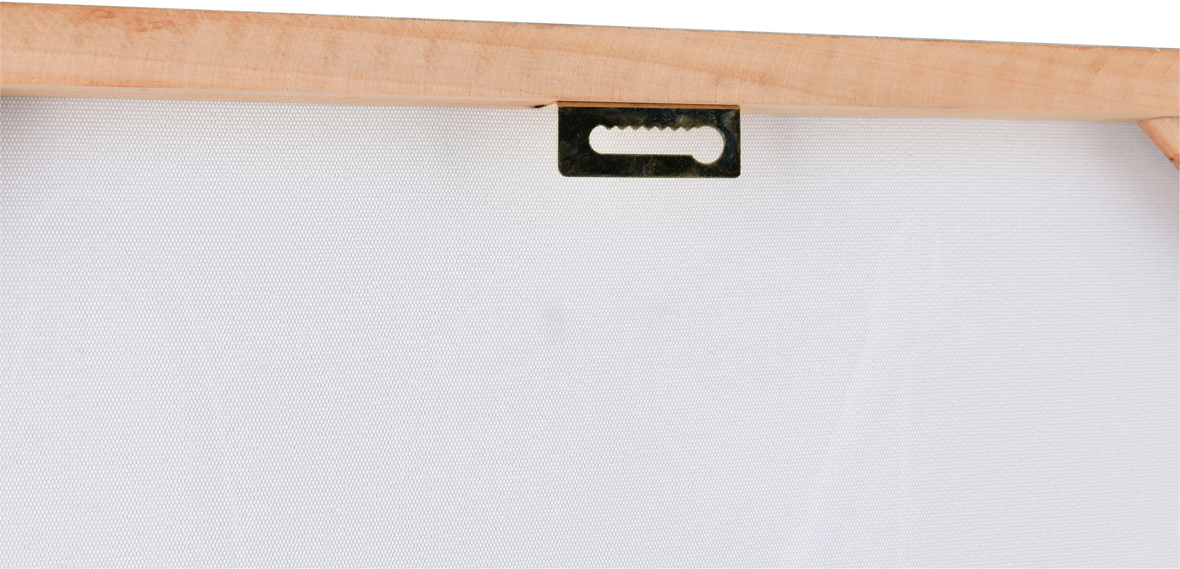 MIRRORS AND MORE Kunstdruck »BRUCE« 1 Stk. tlg. Mix aus Tierporträt und Modekunst