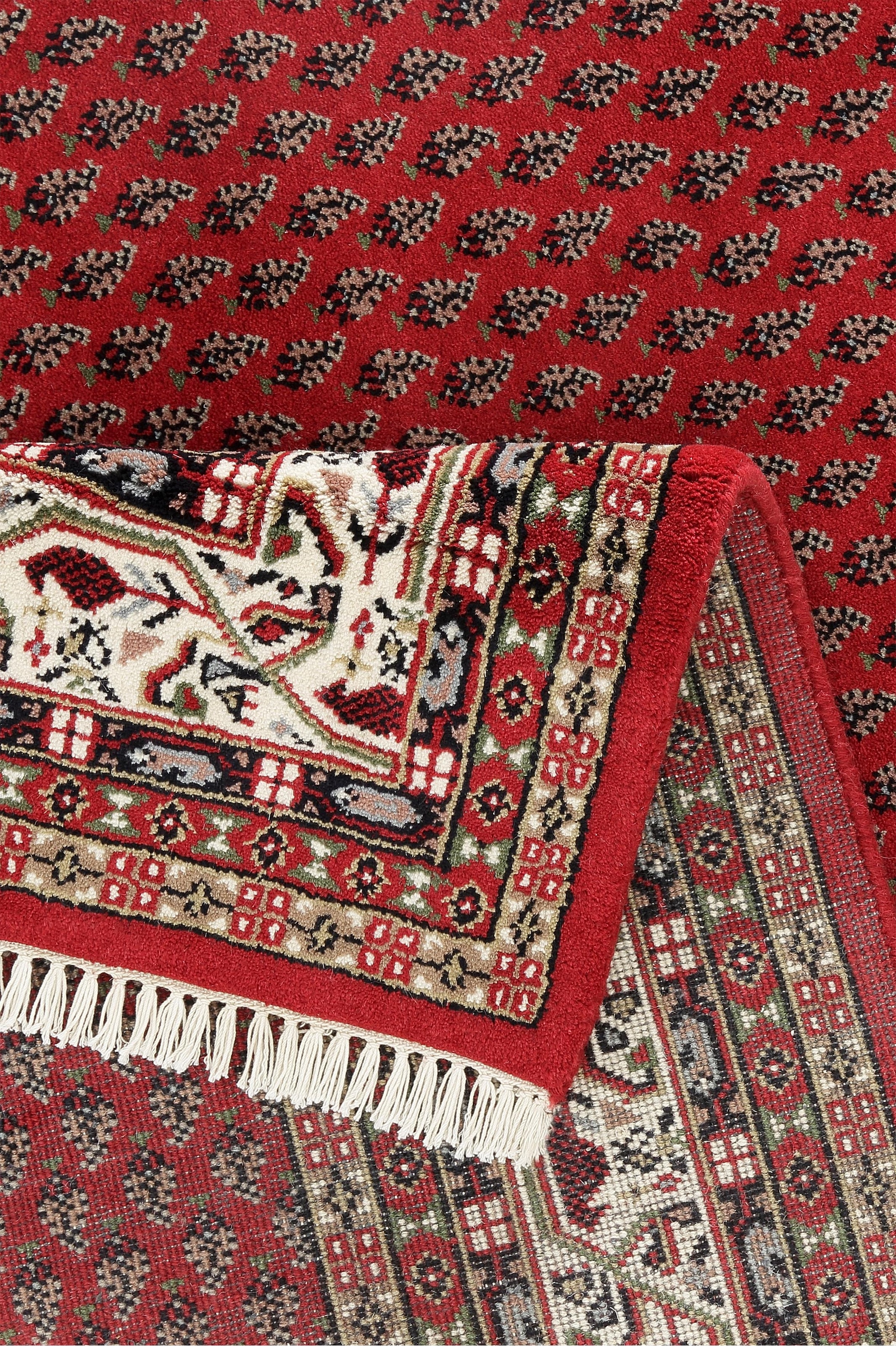 THEKO Orientteppich »Chandi Mir«, rechteckig, 12 mm Höhe, reine Wolle, handgeknüpft, mit Fransen
