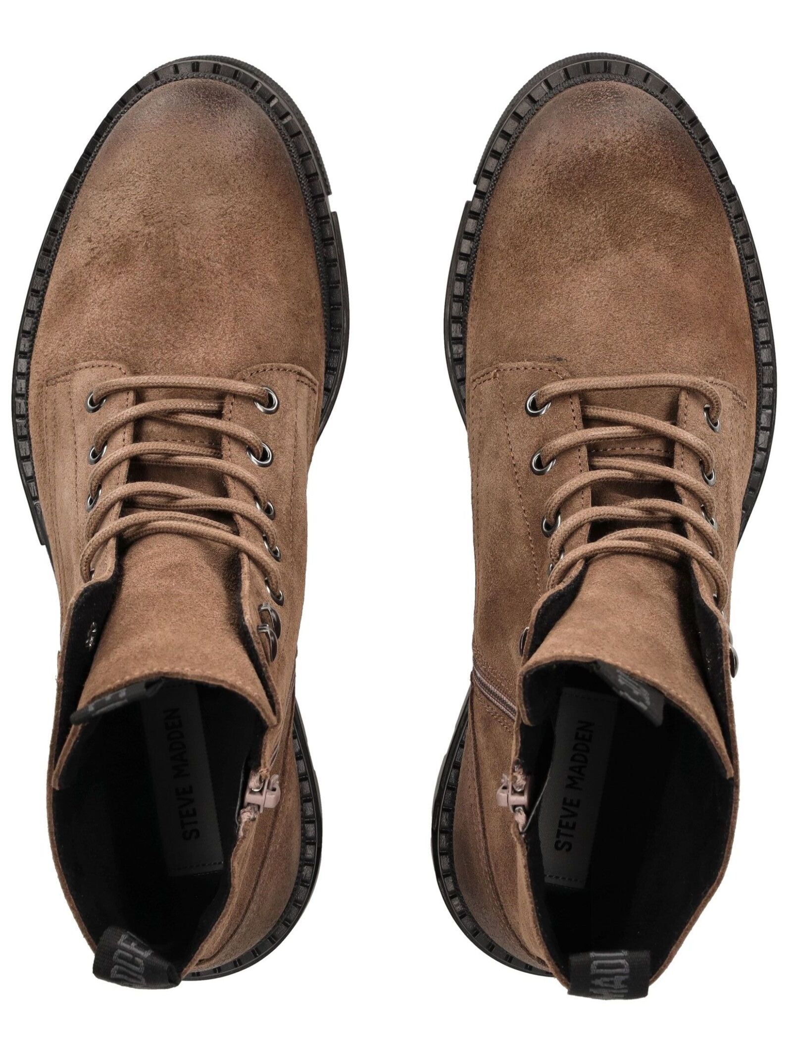 STEVE MADDEN Schnürstiefelette »STEVE MADDEN Stiefelette Veloursleder«