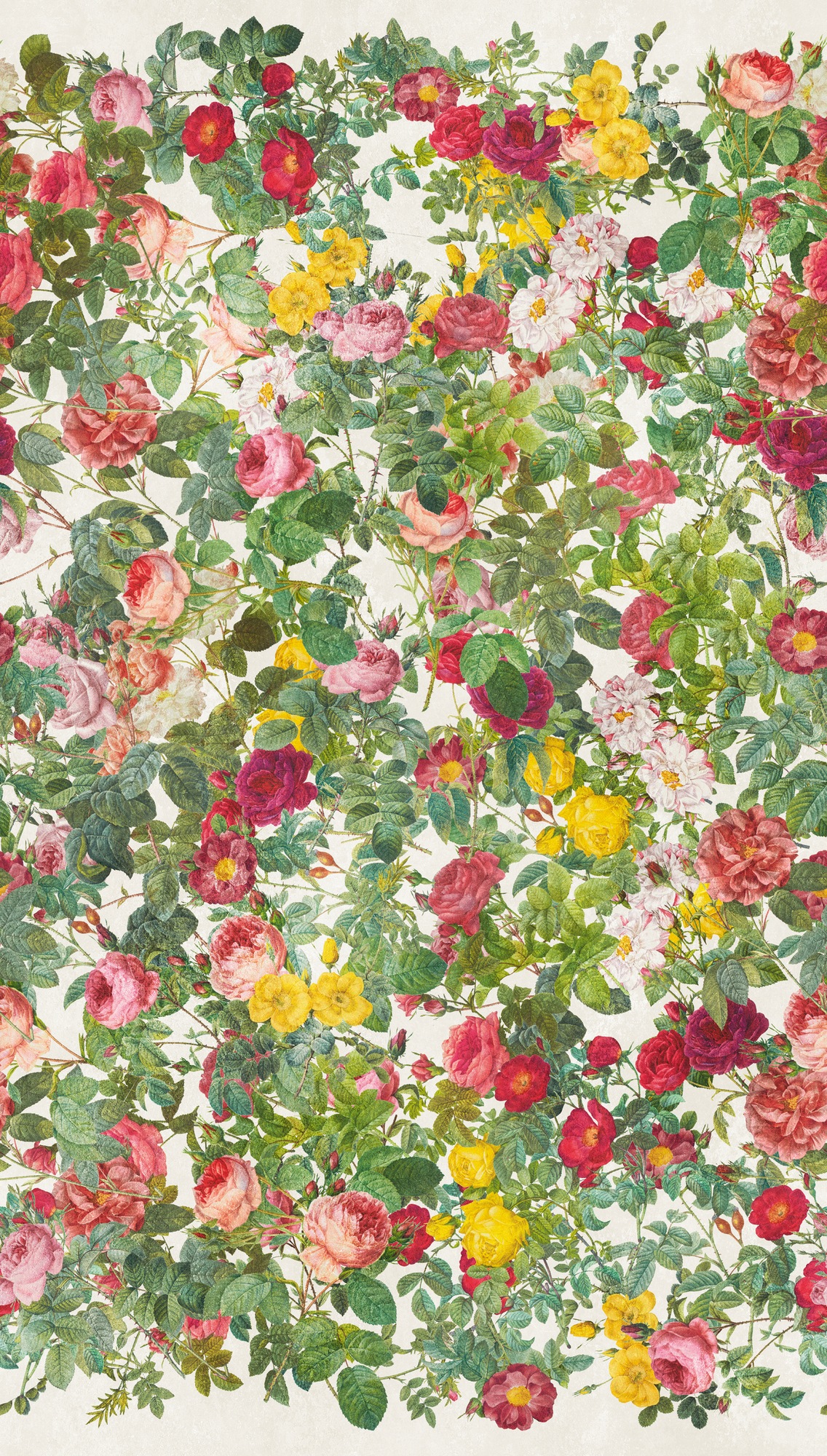 living walls Fototapete »THE WALL III florale Tapete Motivtapete Rosen Blattmotiv«, matt, Vliestapete Blumenwand für Schlafzimmer Küche Wohnzimmer Floral Design