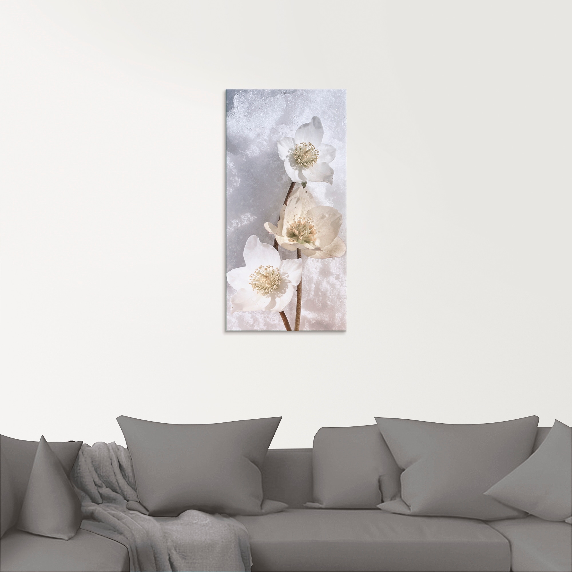 Artland Glasbild »Christrose im Schnee«, Blumen, (1 St.), in verschiedenen günstig online kaufen