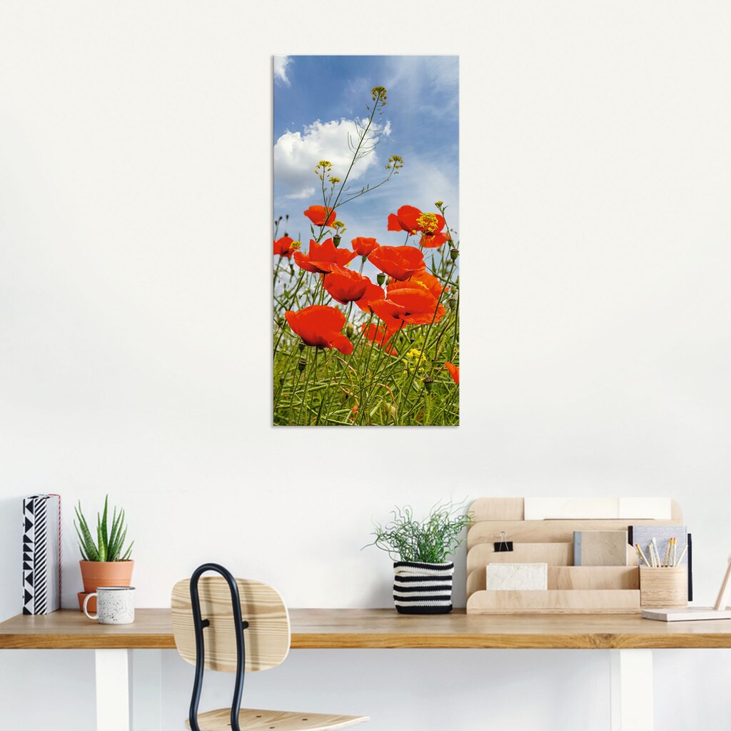 Artland Wandbild »Mohnblumen im Panorama«, Blumenbilder, (1 St.)