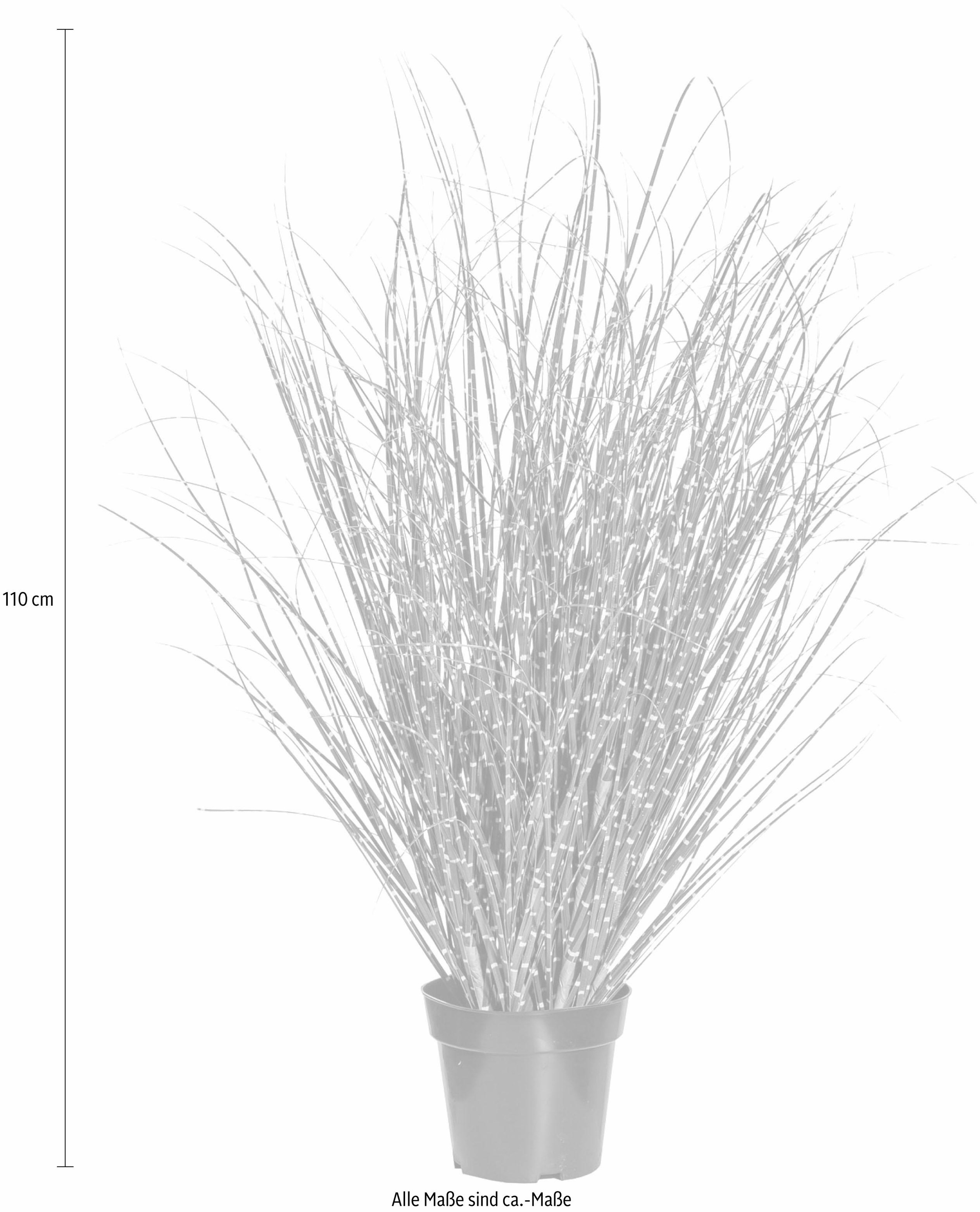 Creativ green Kunstgras »Miscanthus Zebrinus« günstig online kaufen