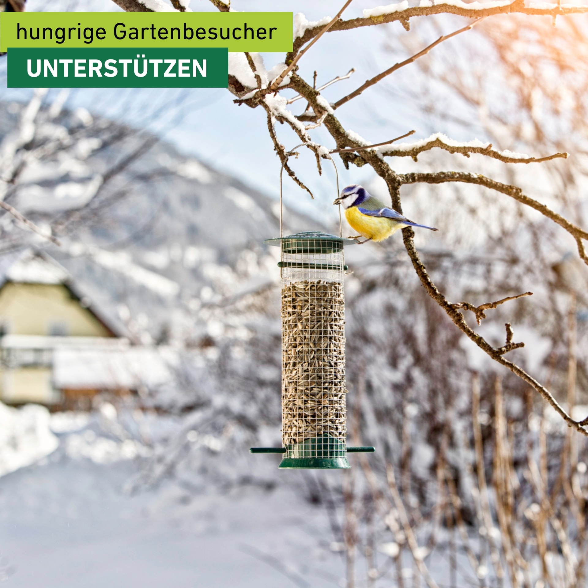 Windhager Vogelhaus »Easy, Futterspender aus Kunststoff und Metall, abnehmbares Dach« Futterstation inkl. Aufhängung, Füllvolumen ca. 0,75 L, 10x14x26 cm