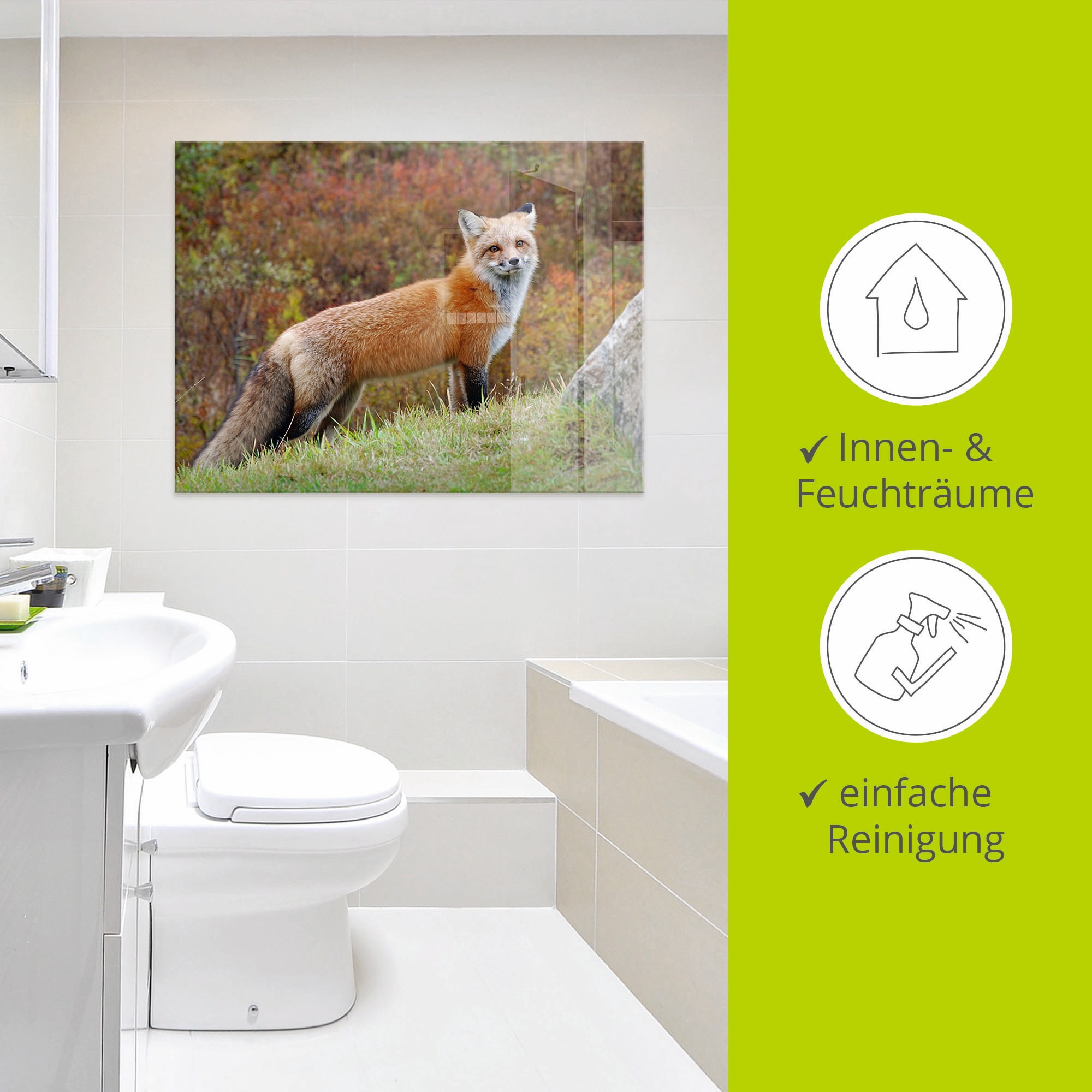 Artland Glasbild »Fuchs I« Wildtiere 1 Stk. tlg. in verschiedenen Größen