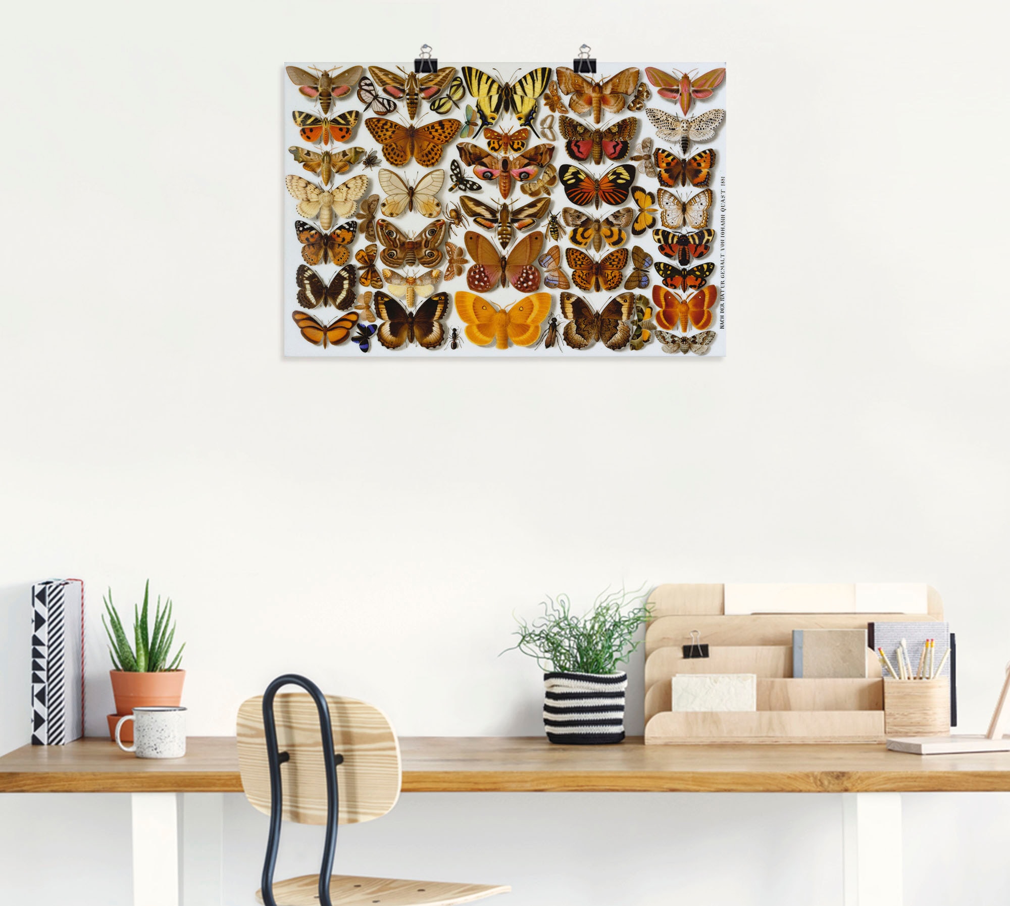 Artland Kunstdruck »Schmetterlinge. Porzellanmalerei. 1881«, Insekten, (1 St.), als Alubild, Leinwandbild, Wandaufkleber oder Poster in versch. Größen