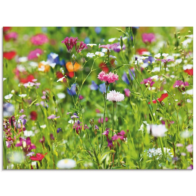 »Blumenwiese online Glasbild (1 Größen Blumenwiese, St.), verschiedenen kaufen Artland in I«,