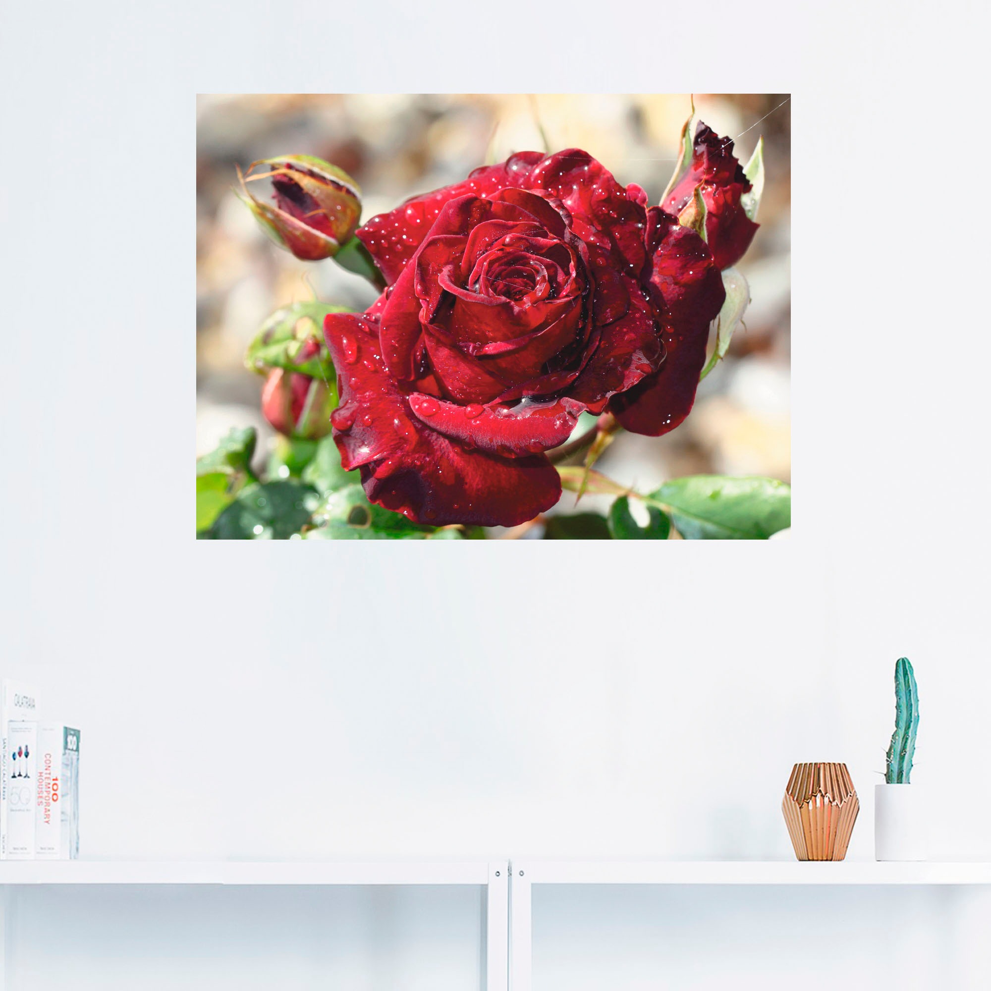 Artland Wandbild "Tröpfchenrose", Blumen, (1 St.), als Leinwandbild, Poster günstig online kaufen