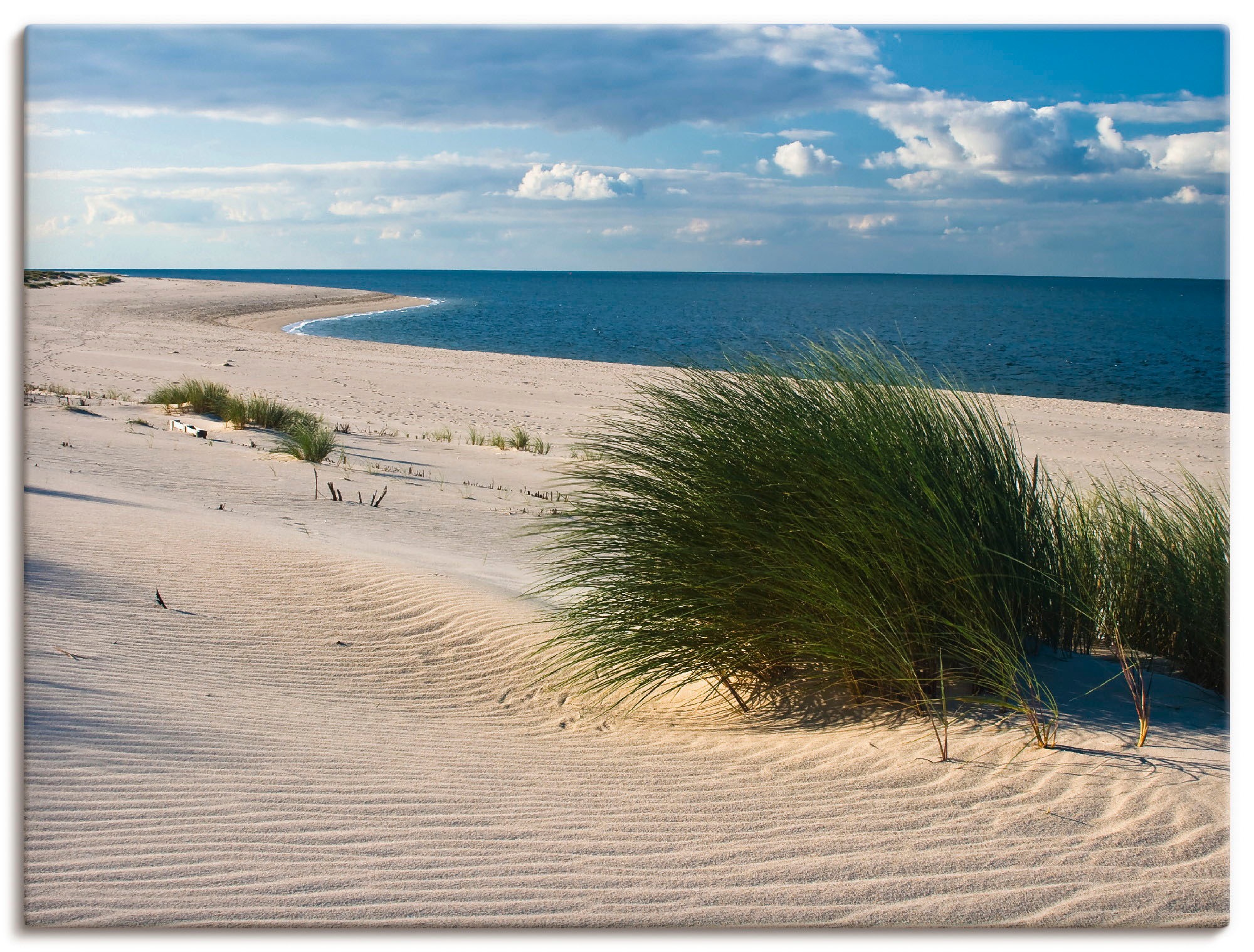 Artland Wandbild »Gras am Strand«, Strand, (1 St.), als Alubild, Outdoorbil günstig online kaufen