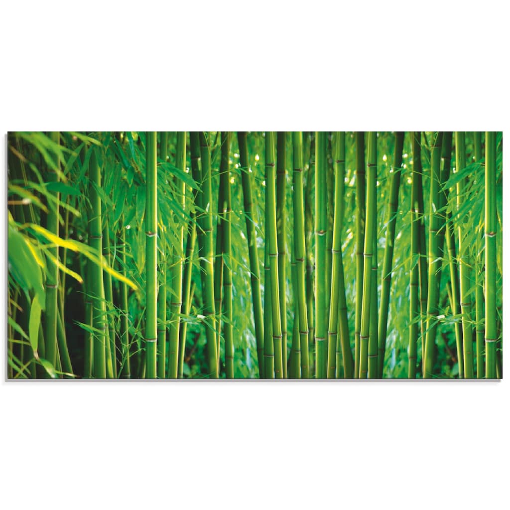 Artland Glasbild »Bambus II«, Gräser, (1 St.)