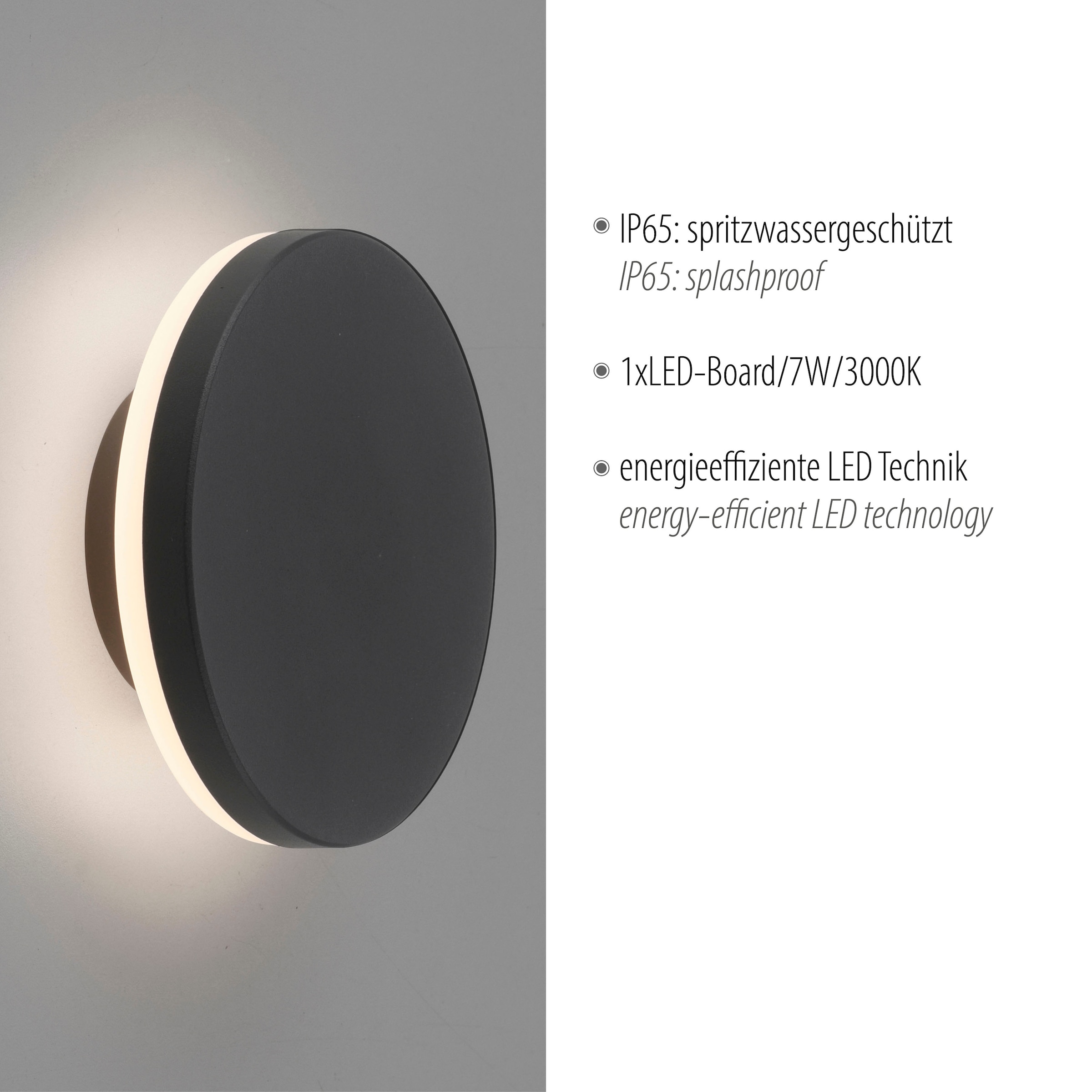 Paul Neuhaus Außen-Wandleuchte »PUNTUA«, 1 flammig, Leuchtmittel LED-Board | LED fest integriert