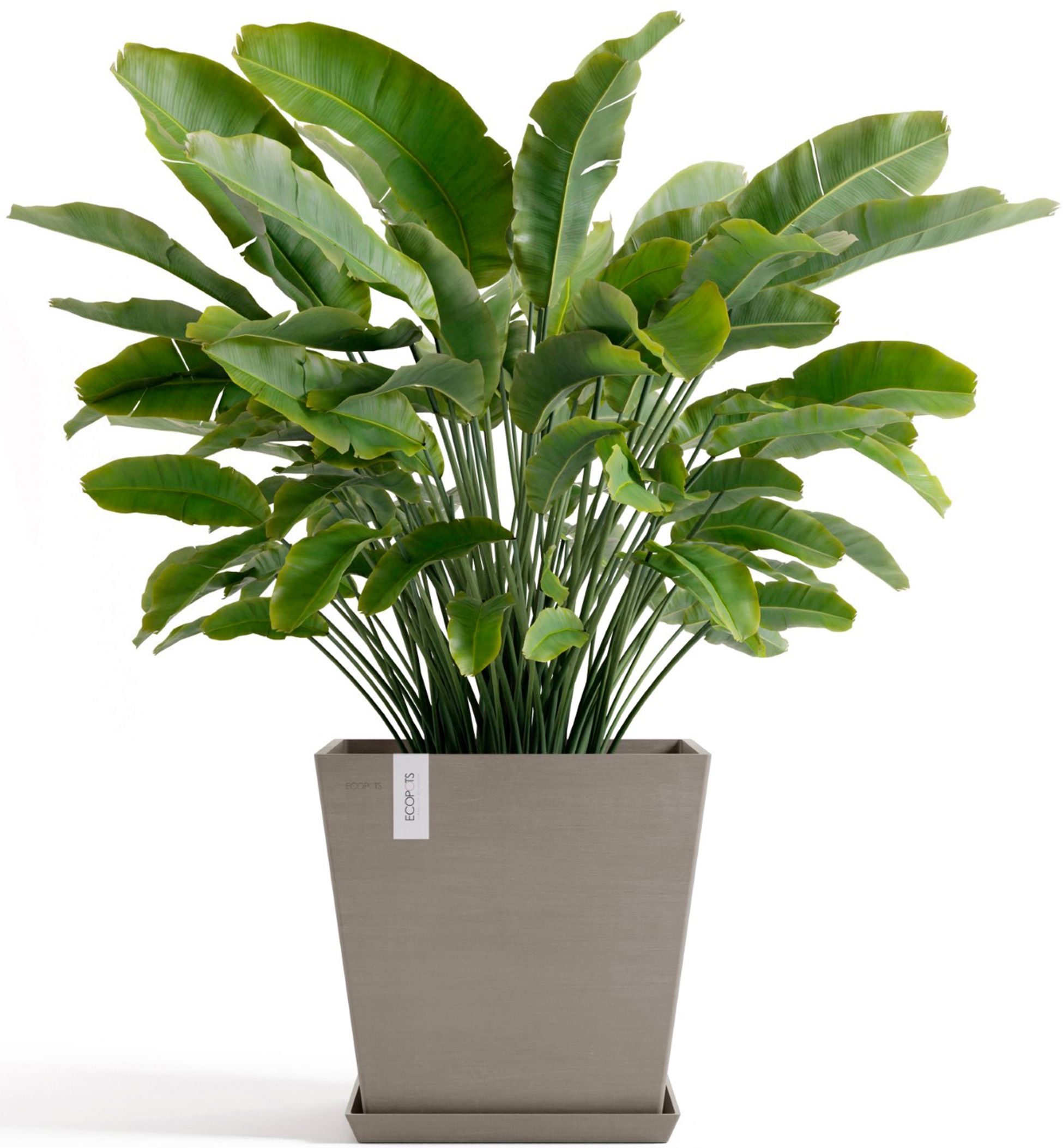 ECOPOTS Blumentopf »Rotterdam 45 + Wassersystem Taupe« für innen und außen: frostsicher, bruchsicher und lichtbeständig