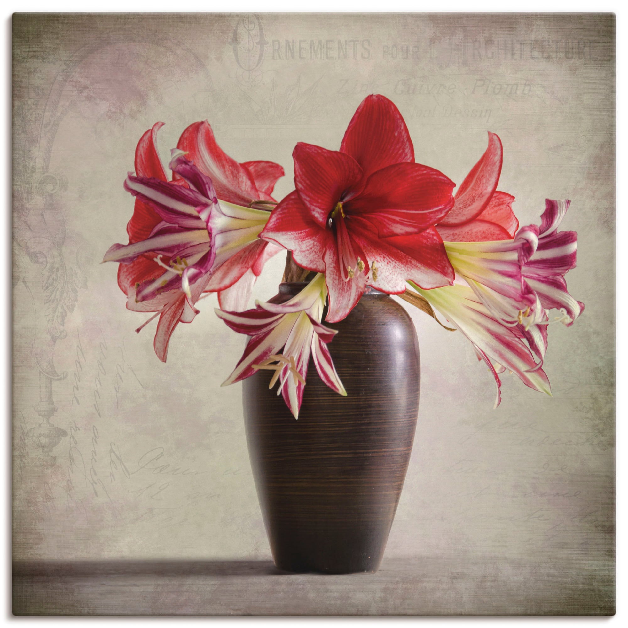 Artland Wandbild "Amaryllis Vintage II", Blumen, (1 St.), als Alubild, Outd günstig online kaufen