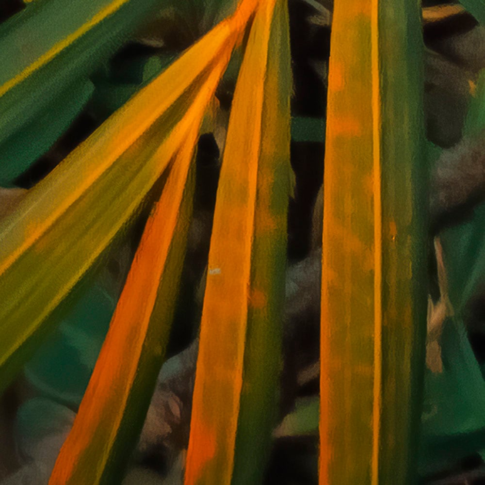Komar Fototapete »Digitaldruck Vlies - Amazon Fern - Größe 400 x 250 cm«, bedruckt, Wohnzimmer, Schlafzimmer