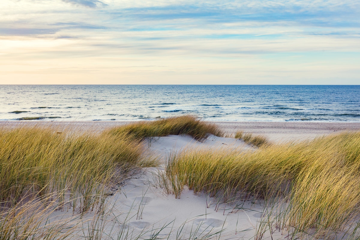 Papermoon Fototapete »Dünen in der Ostsee« auf Rechnung kaufen